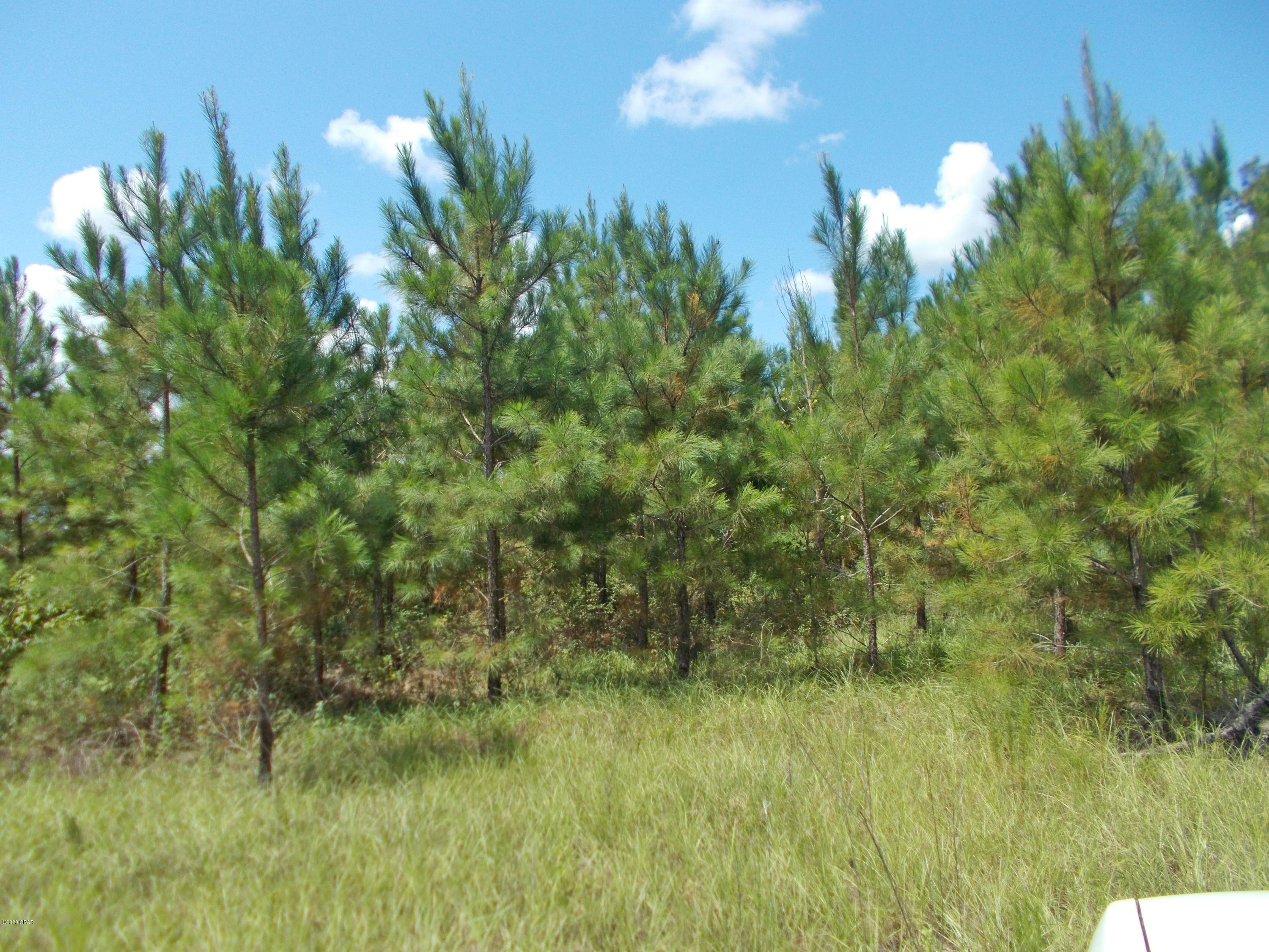 No Named Subdivision - Land