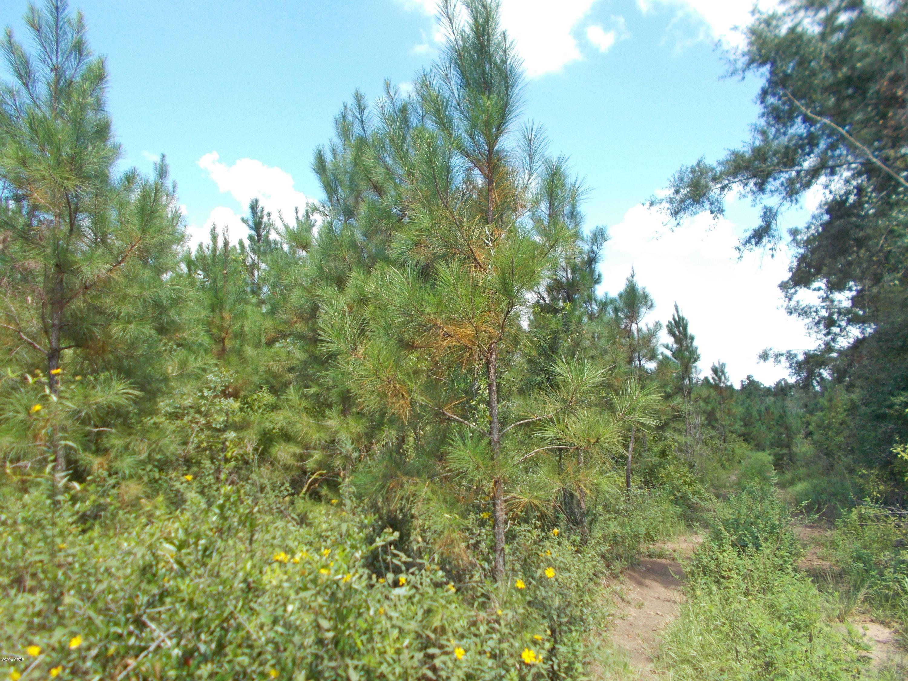 No Named Subdivision - Land