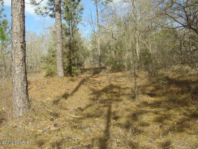 Compass Lake Hills Unit 2 - Land