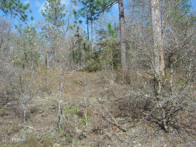 Compass Lake Hills Unit 2 - Land