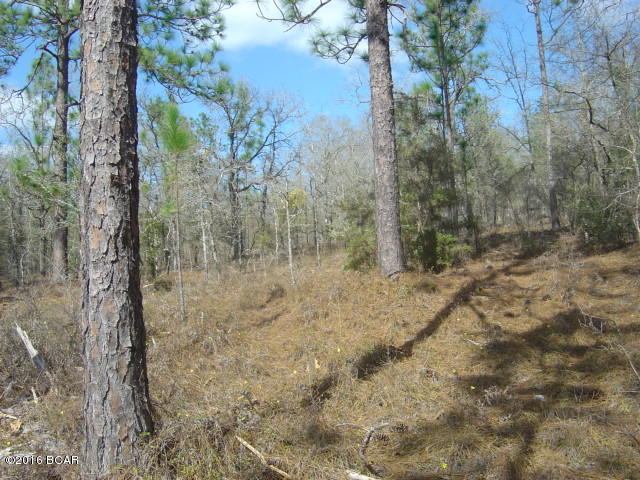 Compass Lake Hills Unit 2 - Land