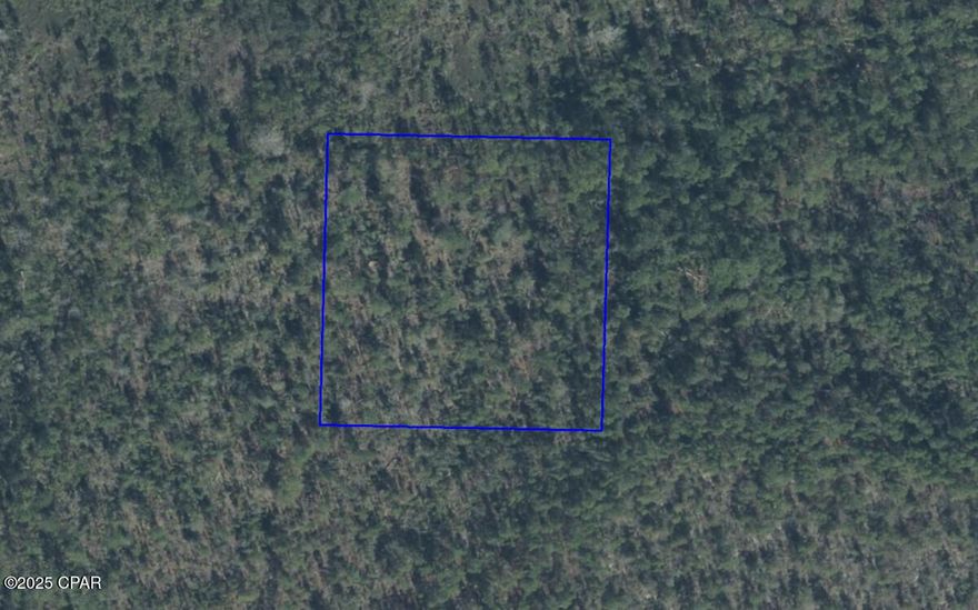 Discover the perfect blend of natural beauty and potential on this 2.5-acre parcel in Fountain, Florida—part of Bay County's scenic landscape. Tucked away from the hustle and bustle, this expansive property is your canvas for endless possibilities. Whether you dream of building a private retreat or simply securing a wise investment for the future, you'll find ample space to bring your vision to life.

Enveloped by Florida's lush greenery, the land boasts a serene atmosphere that invites you to enjoy the outdoors. With no flood zone or wetlands to navigate, the development process is made even simpler. Imagine creating your own haven where you can savor peaceful mornings and star-filled nights, all while remaining within reach of local conveniences and major thoroughfares.

Located just a short drive from Panama City and the white-sand beaches of the Gulf Coast, this parcel offers both seclusion and accessibility. Experience the best of Northwest Florida—year-round sunshine, nearby recreational activities, and a welcoming community. Don't miss out on this rare chance to own a piece of the Sunshine State. Contact us today and explore the opportunity to make these 2.5 acres your very own.