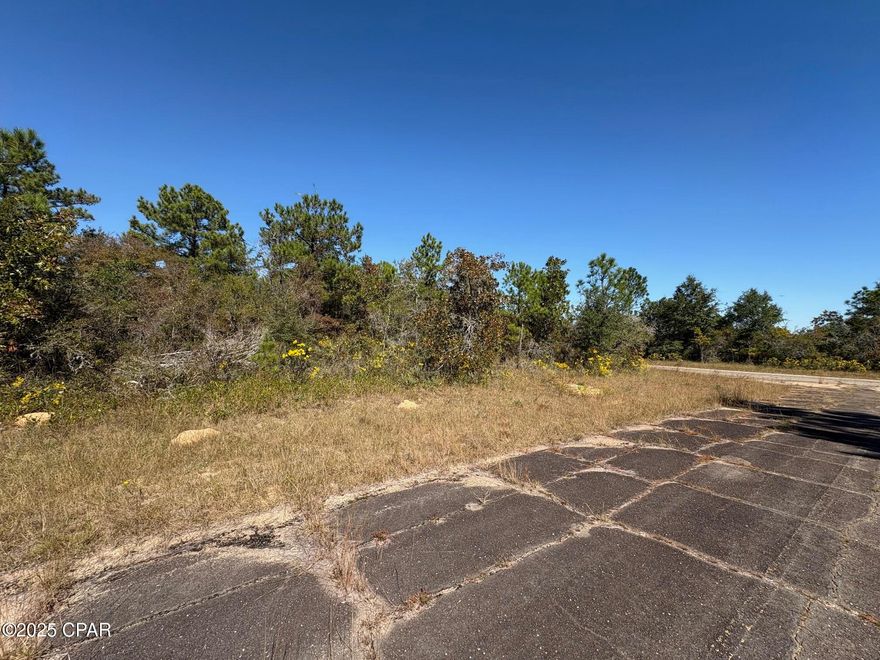 Check out this fantastic corner lot in Sunny Hills, Chipley Florida. This corner lot is price way below market and is a perfect investment LOT for anyone looking to buy now at a deep discount in this rapidly growing residential community located just North of Panama City, Florida. This is LOT 9, a very nice, level, corner building site. LOT 10 is also available next door by the same seller. Buy one -or- buy them both and double your property size. Public water is not presently available here so a private well is needed. Power is available one lot away at the intersection of Swallow and Fourwinds making this lot a viable building site now! *** Listing agent is the lot owner and a licensed Florida real estate agent ***