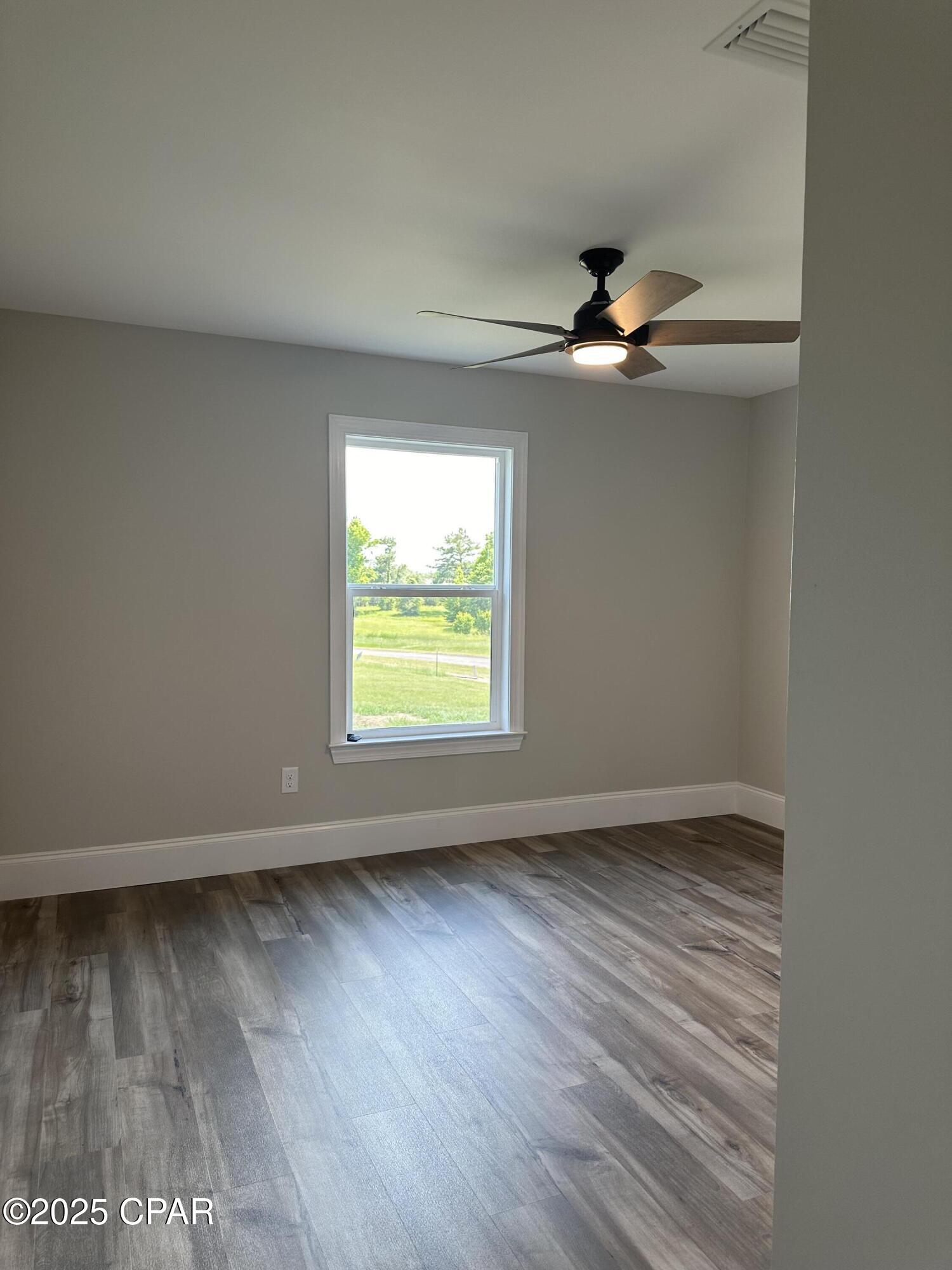 Cypress Tree - Residential