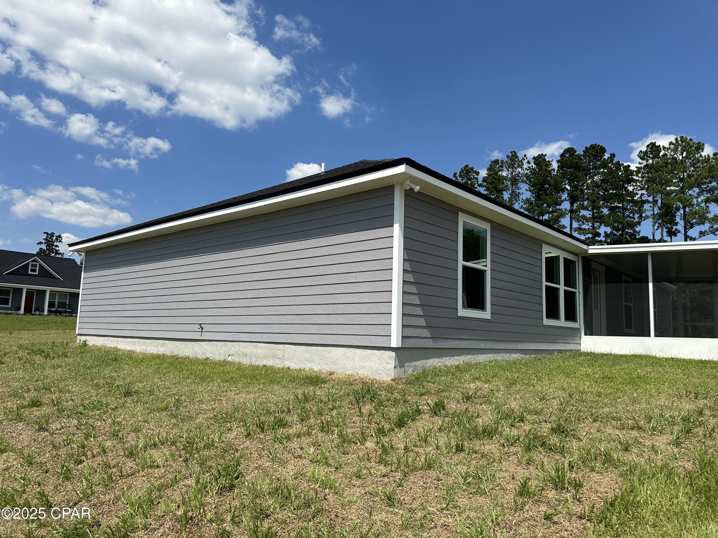 Cypress Tree - Residential