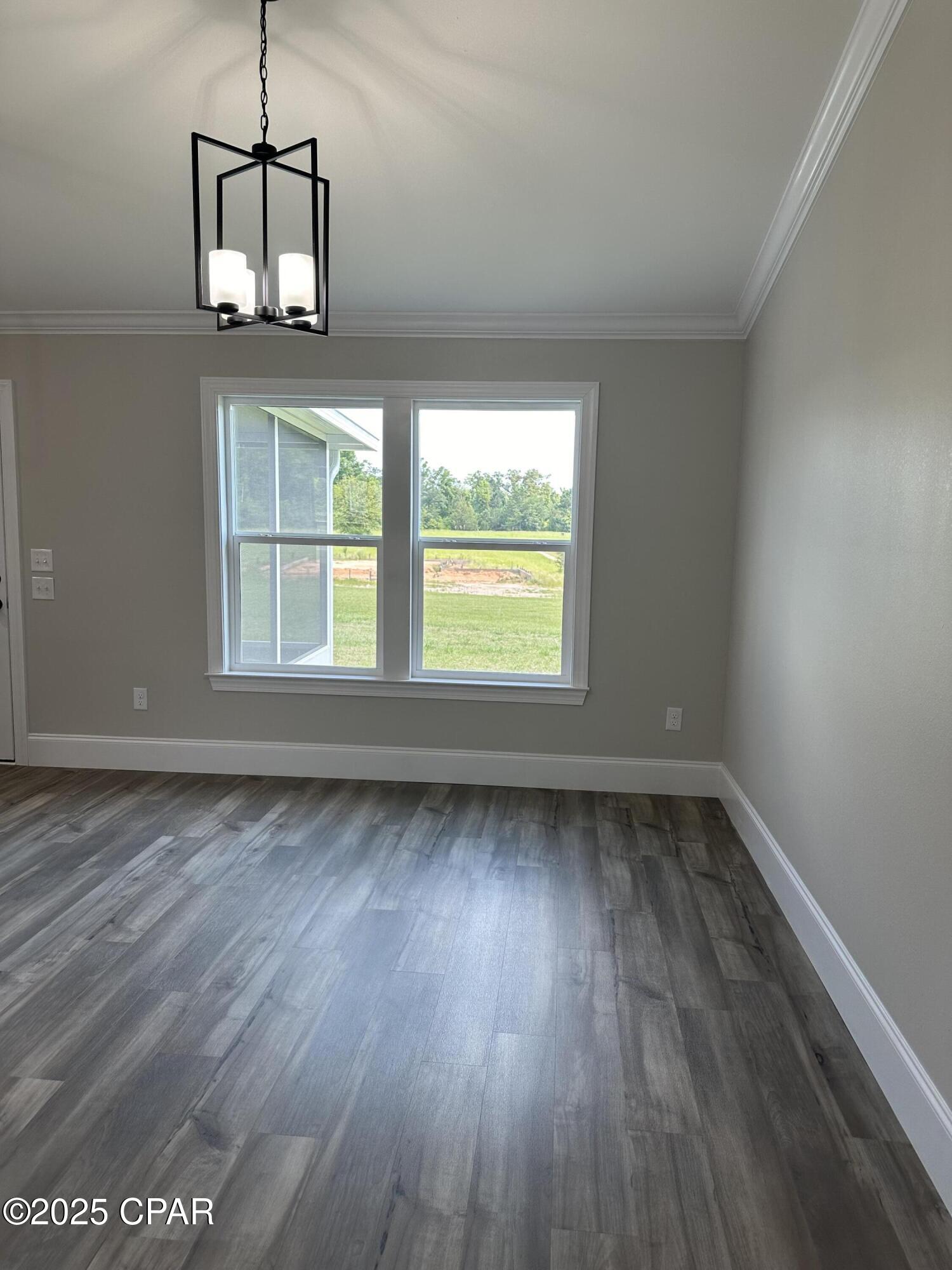 Cypress Tree - Residential