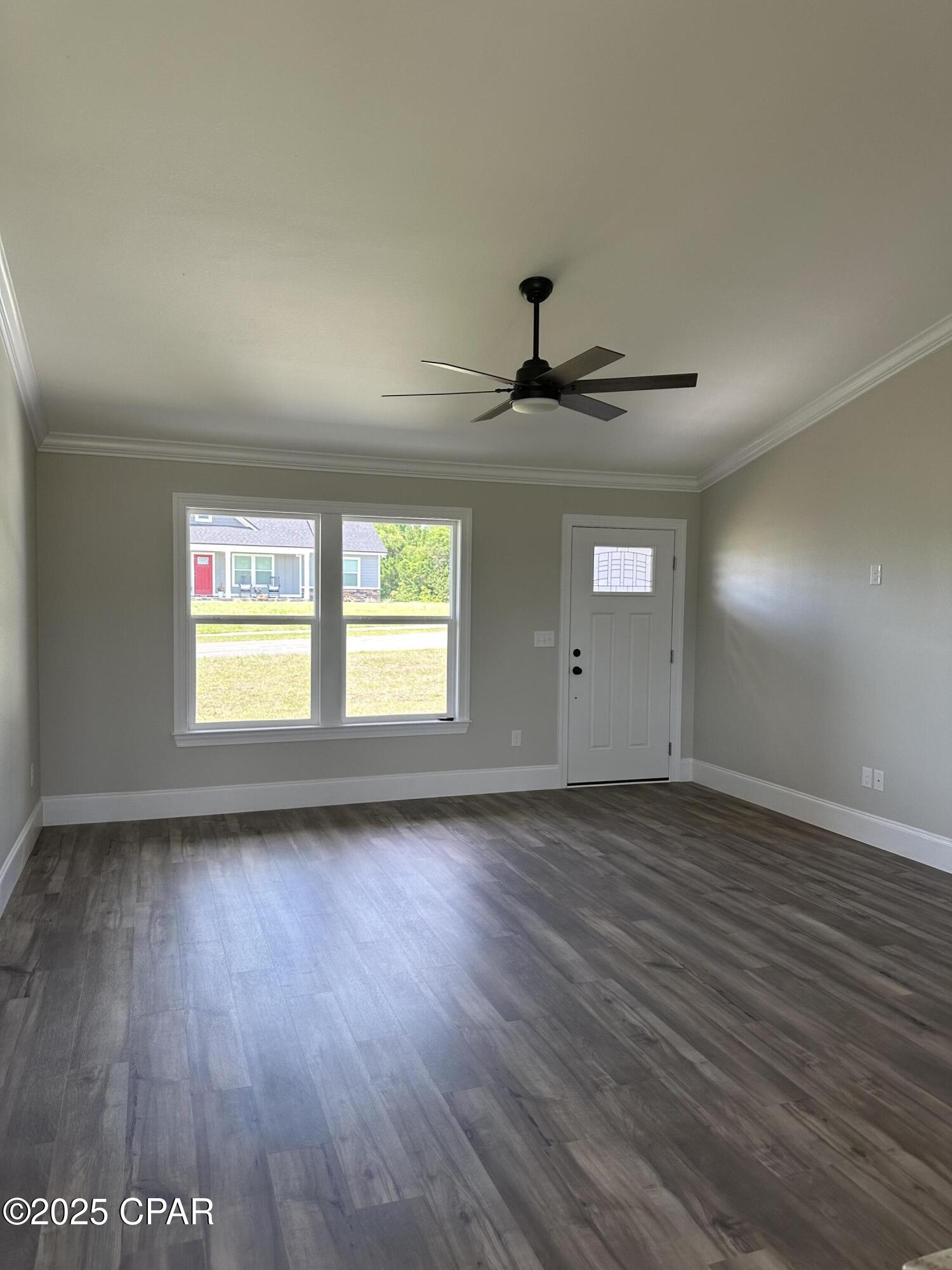 Cypress Tree - Residential