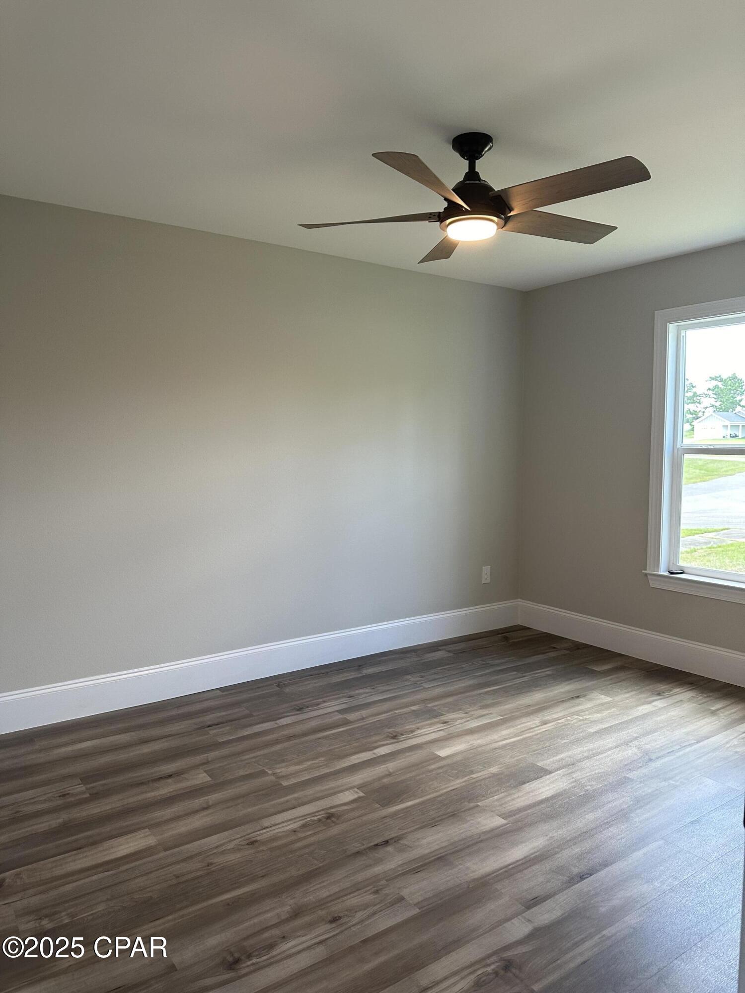 Cypress Tree - Residential