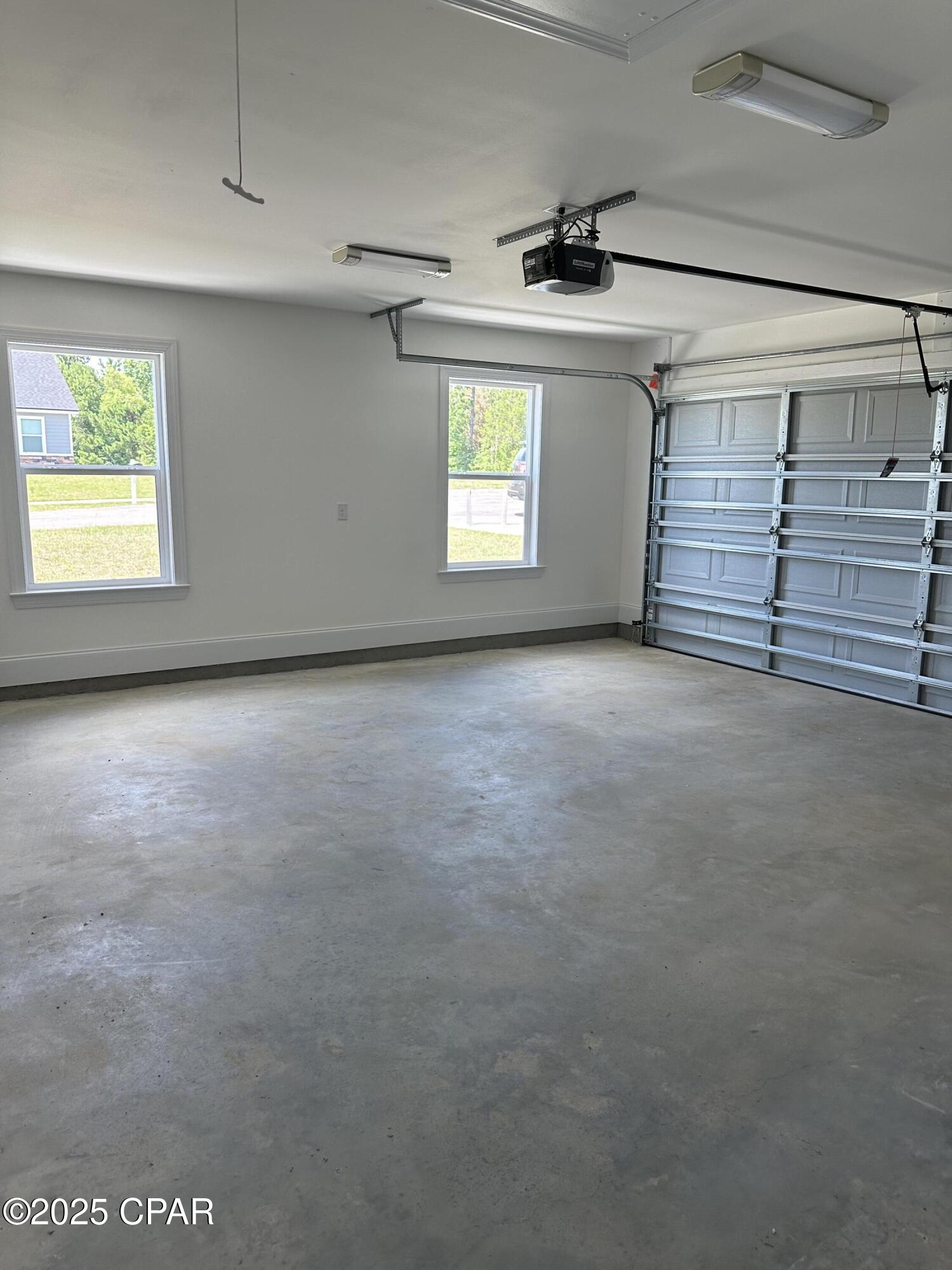 Cypress Tree - Residential