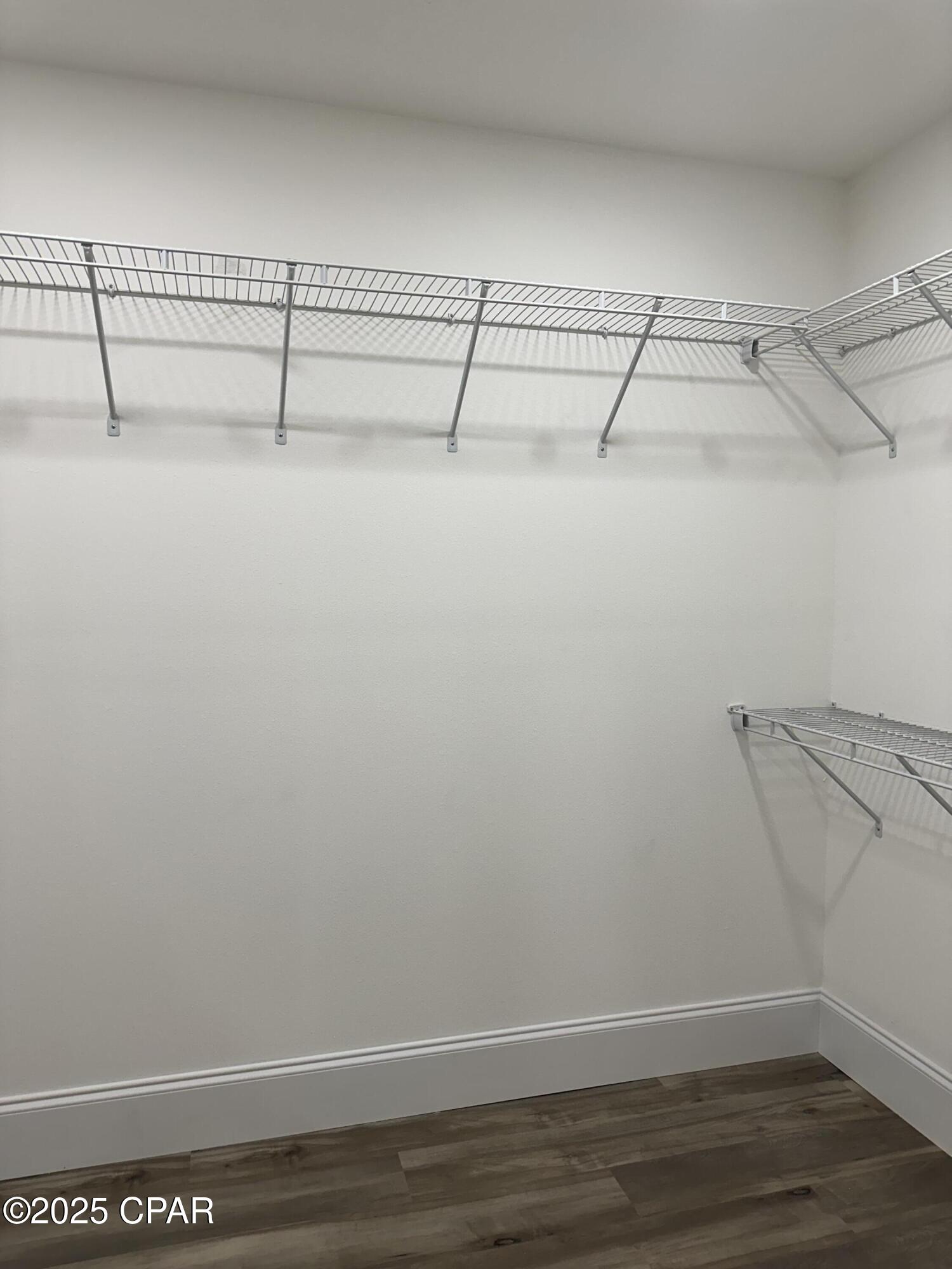 Cypress Tree - Residential