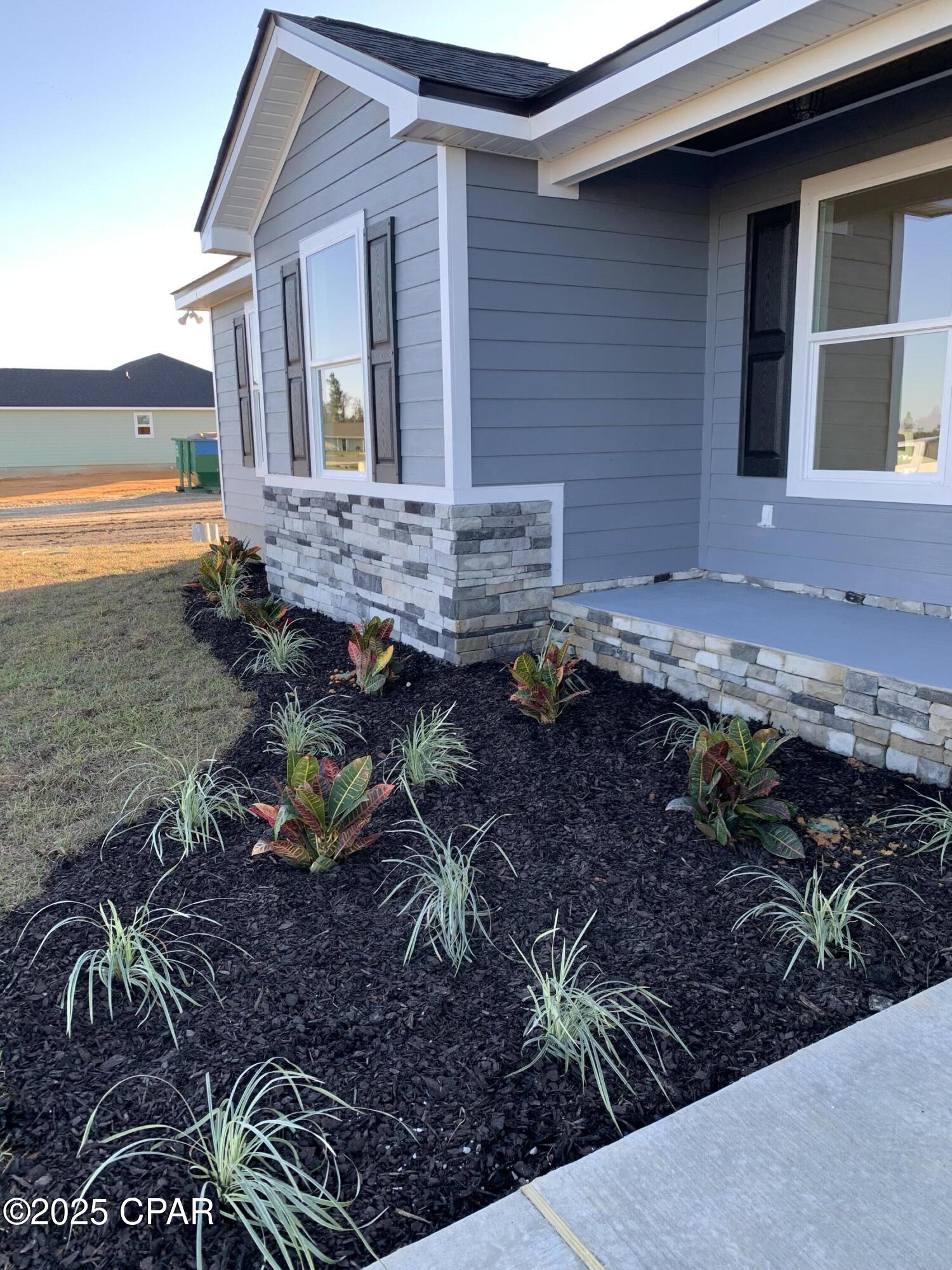 Cypress Tree - Residential