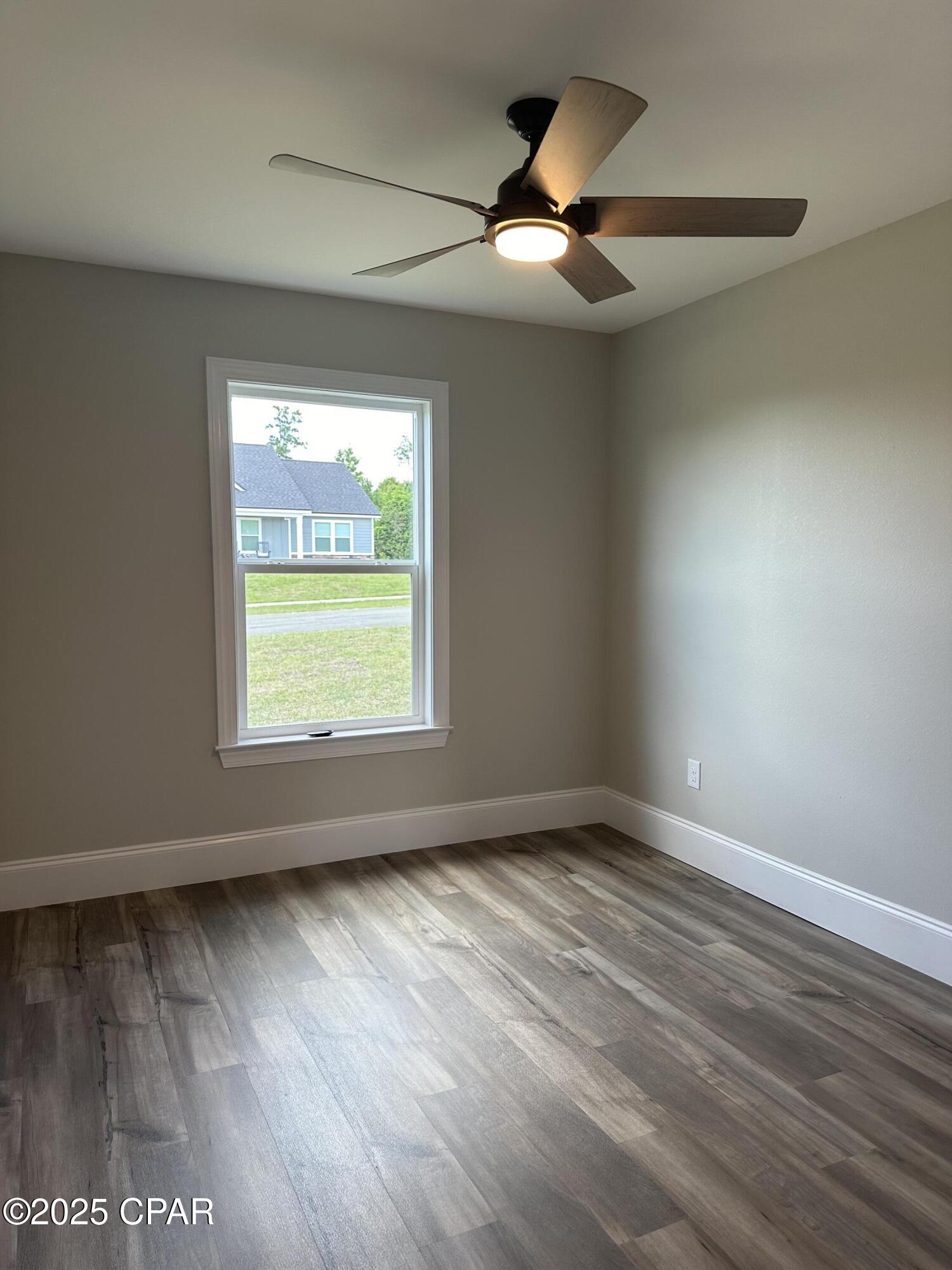 Cypress Tree - Residential