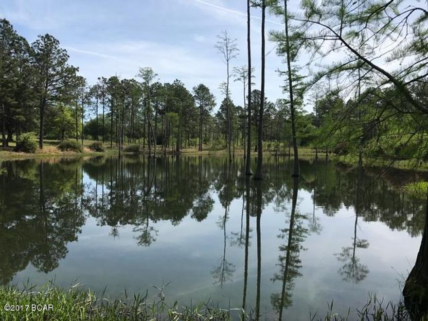 Looking for the perfect land to build your dream home.... this is it!!!! As you enter the gate, drive the long winding paved drive up the hill crossing the pond. Build your home under the mature trees. Property has well, septic, 2 power poles, several outbuildings. 16x36 pole Barn, 20x20 storage building, includes another workshop with storage area. Some of property is fenced and cross fenced. Pecan trees blueberry bushes and even has spring feed creek that runs corner of property. A Must See!!!!