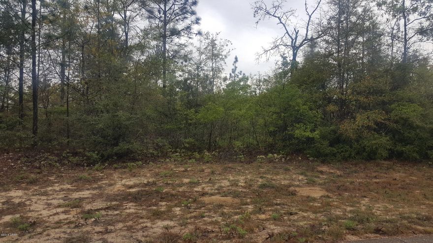 Nice .55 acre +/- building lot in Sunny Hills. Property is mostly wooded. Near cul de sac. Restricted to homes only. Deed restrictions. Not far from Hwy 77. Approx 35 miles to Panama City Beach, Pier Park Shopping and Northwest Florida International Airport. Several fishing spots in the area.