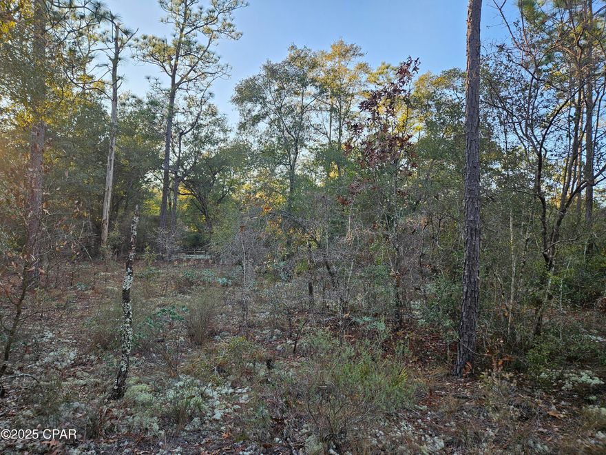 Sunny Hills is the fastest growing subdivision in Washington County, but not far from Panama City which is about a 35 minute Drive. This building lot is at the end of a cul-de-sac and would provide more privacy and less traffic than other lots. There are houses on the corners, but no in the cul-de-sac. The lot is flat and would be an ideal place for a new home. It is just over 1/3 of an acre. Nearby are lakes for swimming, boating and fishing and Sunny Hills Golf Club, an 18-hole course that is popular with neighborhood residents and visitors alike.