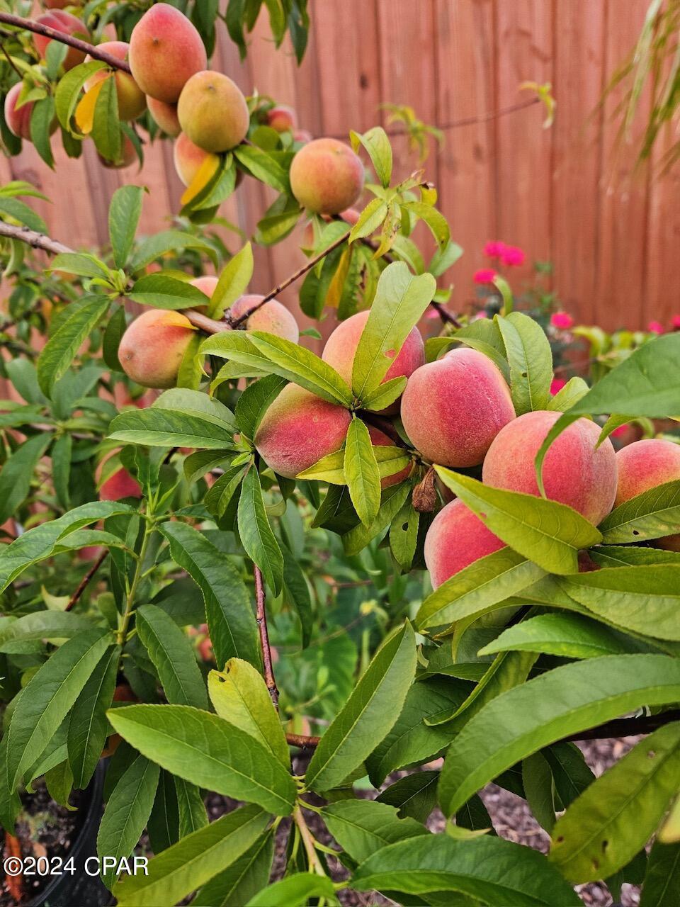 Horton Heights - Residential