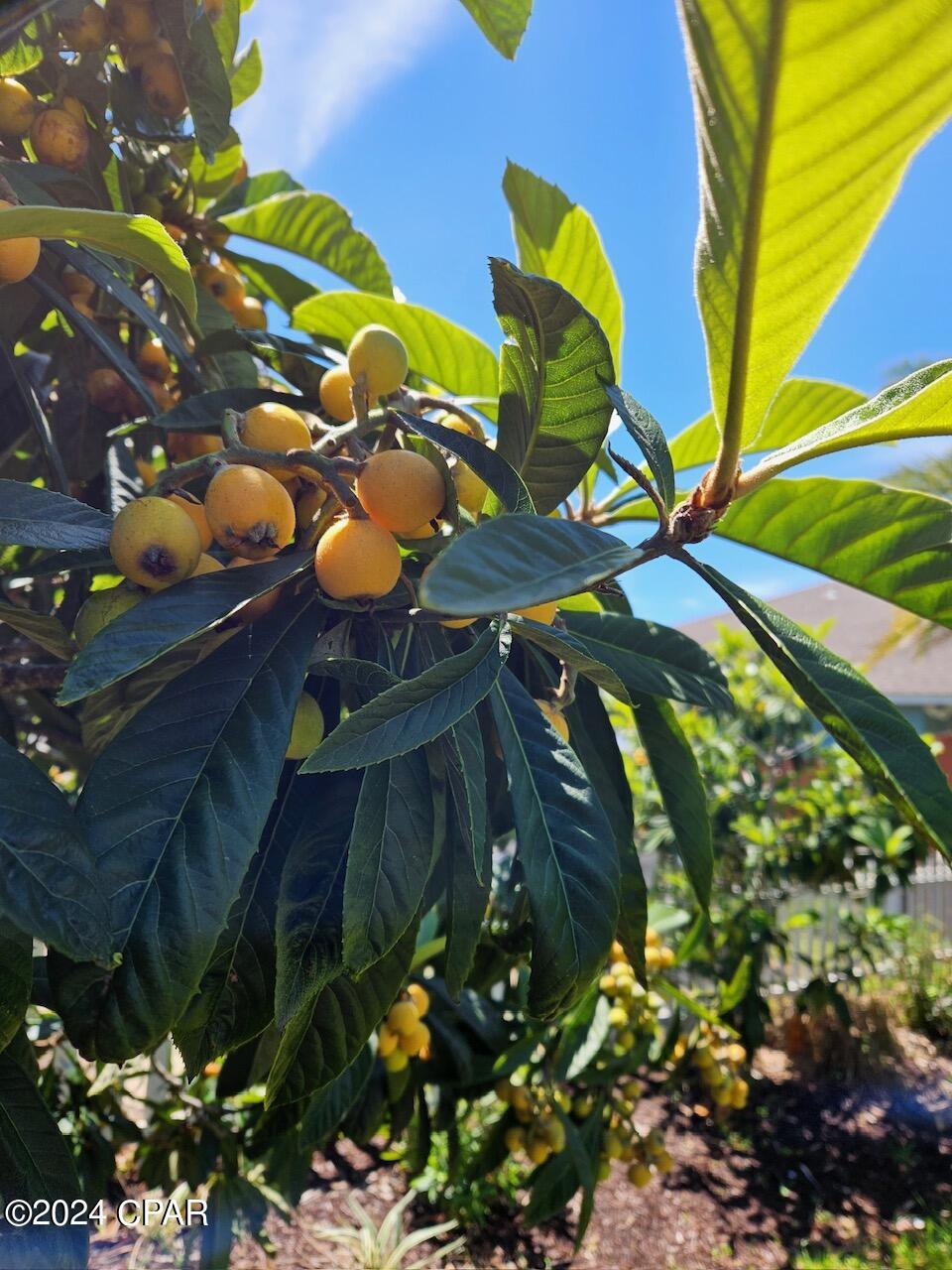 Horton Heights - Residential