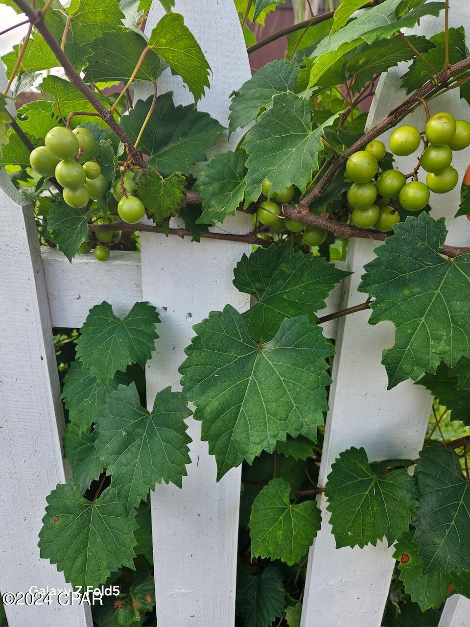 Horton Heights - Residential