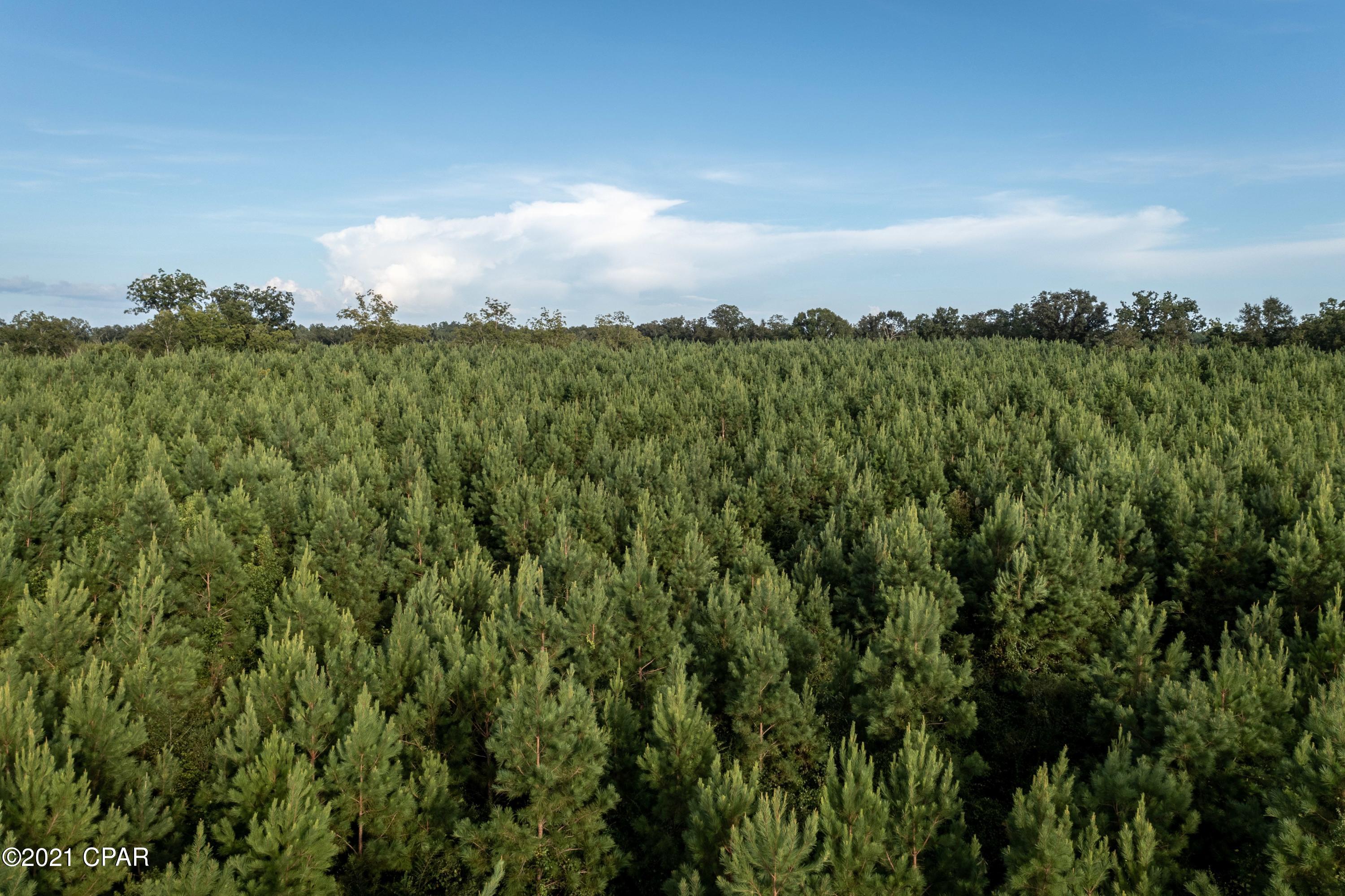 [No Recorded Subdiv] - Land