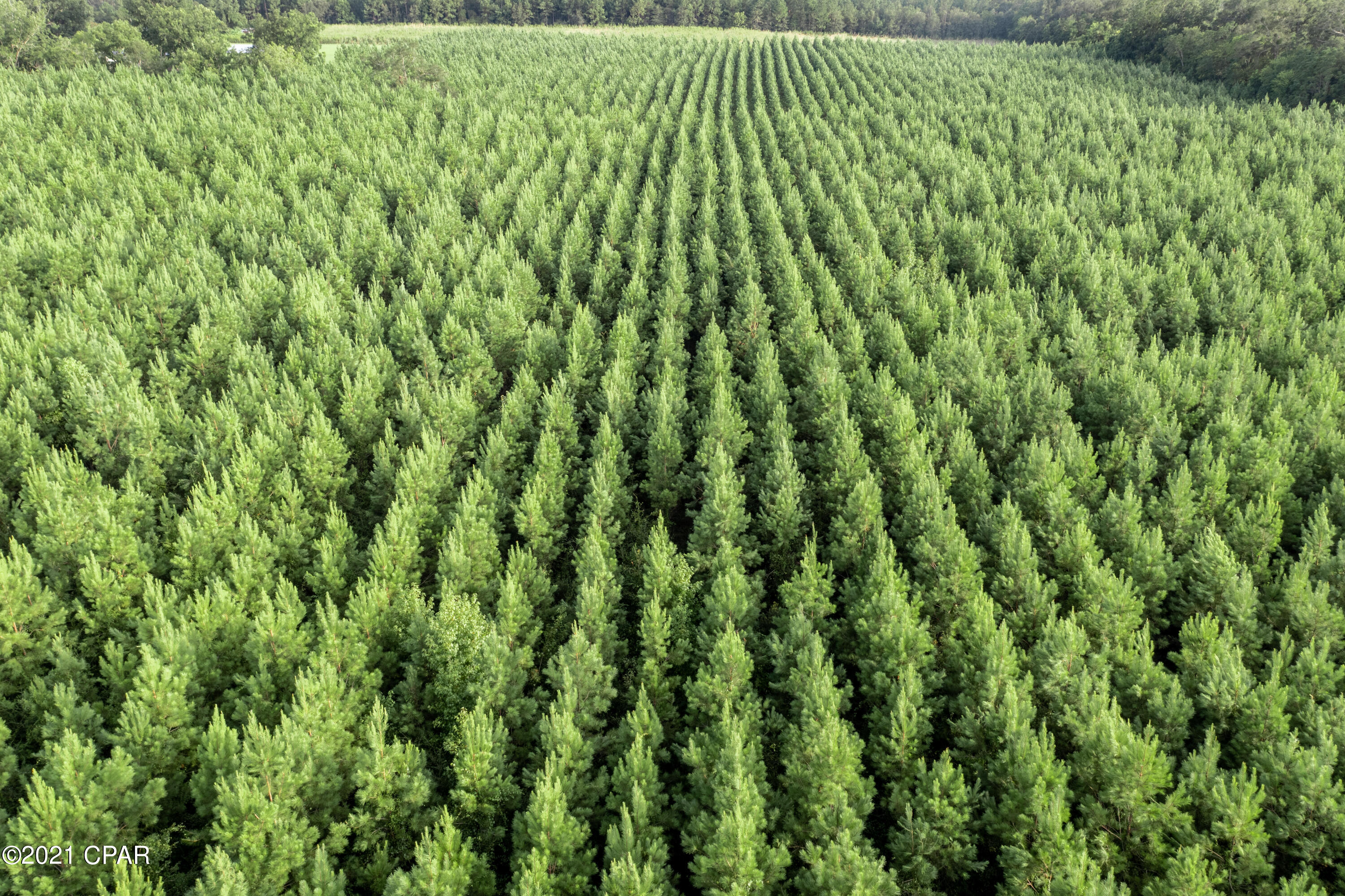 [No Recorded Subdiv] - Land