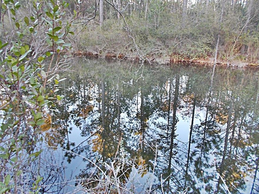 Great place set up for a camp house, there is a pond on the property and a small shed, this is an ideal place to escape to.