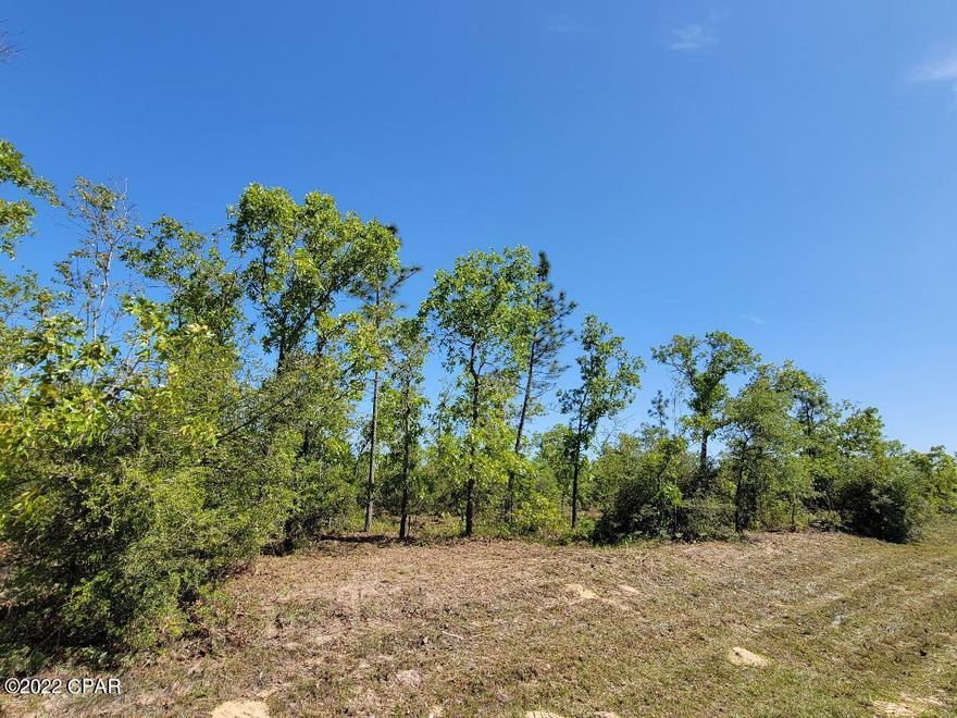Partially cleared, High and dry, oversized premium lot for sale. Perfect for your new home. It is well elevated above the road.

There is a gorgeous mountain view while turning onto Joyner from the main road, Deltona. Lot is partially cleared but the seller kept all of the trees for the new owner to decide. Walk paths that will take you throughout the lot from front to the back & side to side. There are many Pine, Oak, Yaupon Holly, Gallberry & Hawthorn Trees. It also has many native fruit trees including Sparkleberry, Deerberry, Rabbiteye, Blueberry, and native Persimmons. Like to Golf? Drive your golf cart 1 mile to get to Sunny Hills Golf Course !Want to go fishing? It's only 1.3 Miles to a hide-away boat ramp into the bass filled Gap Lake! There are several fishing spots in Sunny Hills This lot has it all. The lot is tucked away from the main road, but close by for easy access to Hwy 77. It is a short 45 minute drive to the worlds most beautiful beach - Panama City Beach. Sunny Hills is a deed restricted subdivision, no mobile homes. Buyers are to verify any/all information.