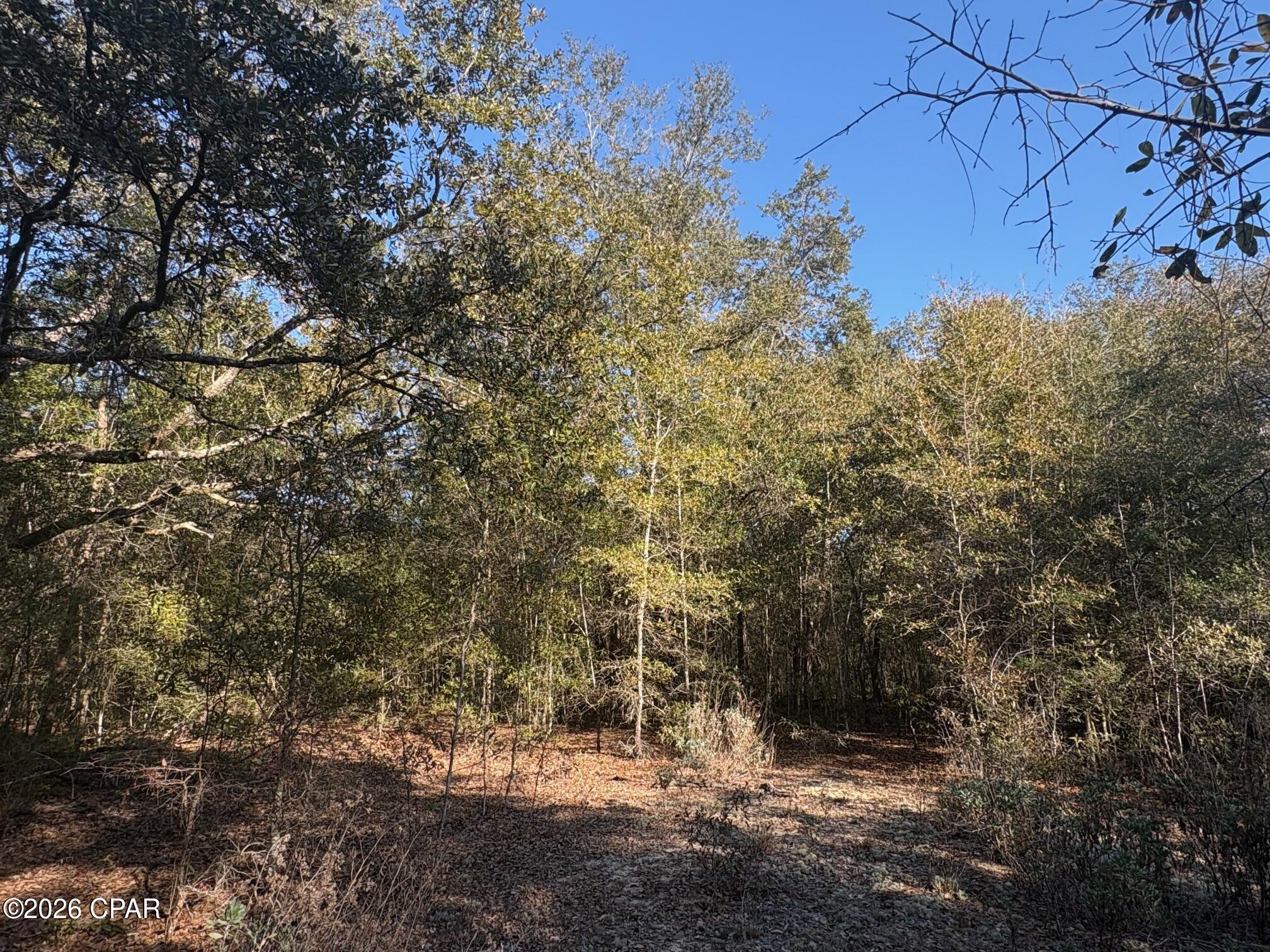 Compass Lake Hills Unit 2 - Land