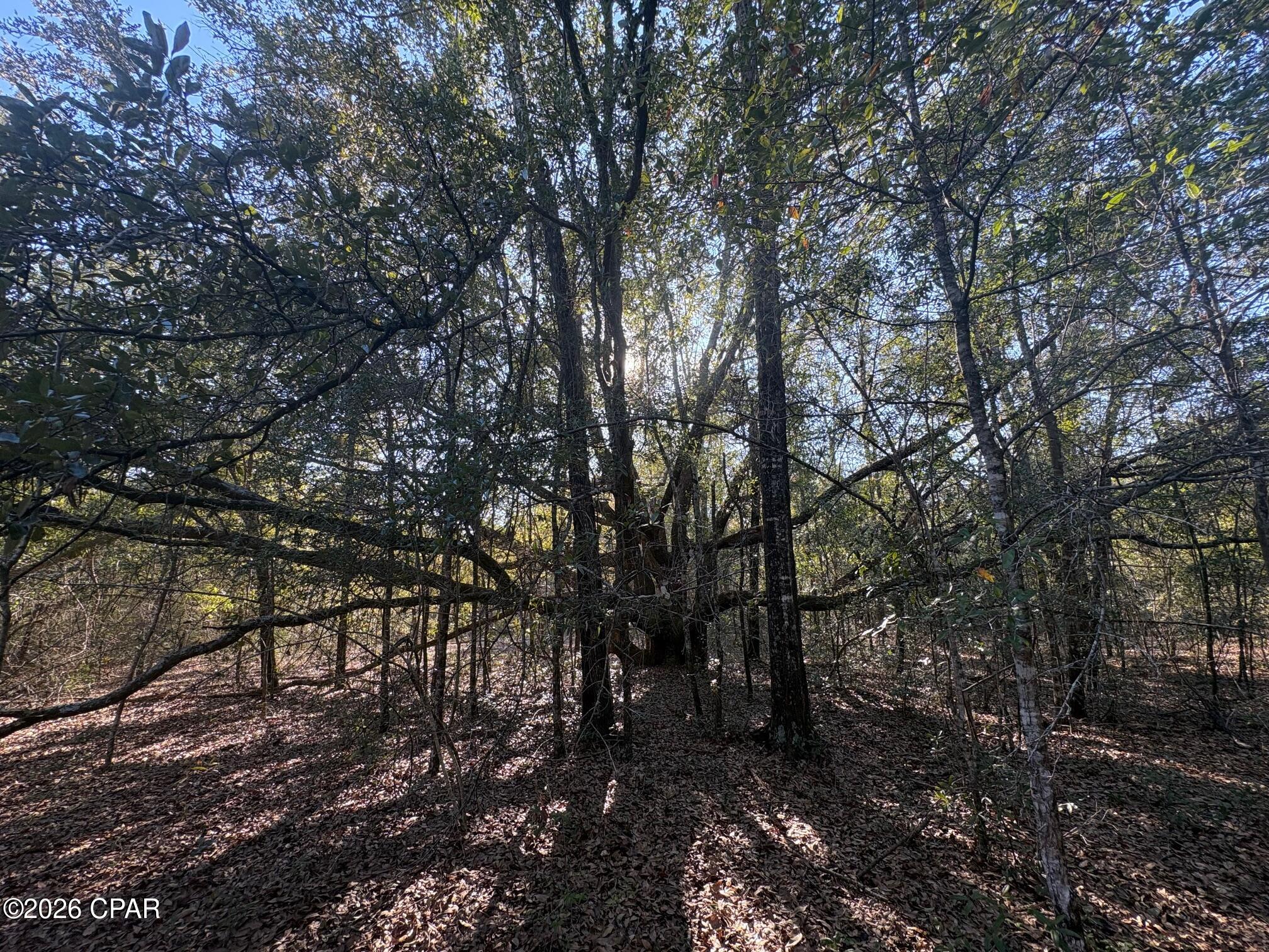 Compass Lake Hills Unit 2 - Land