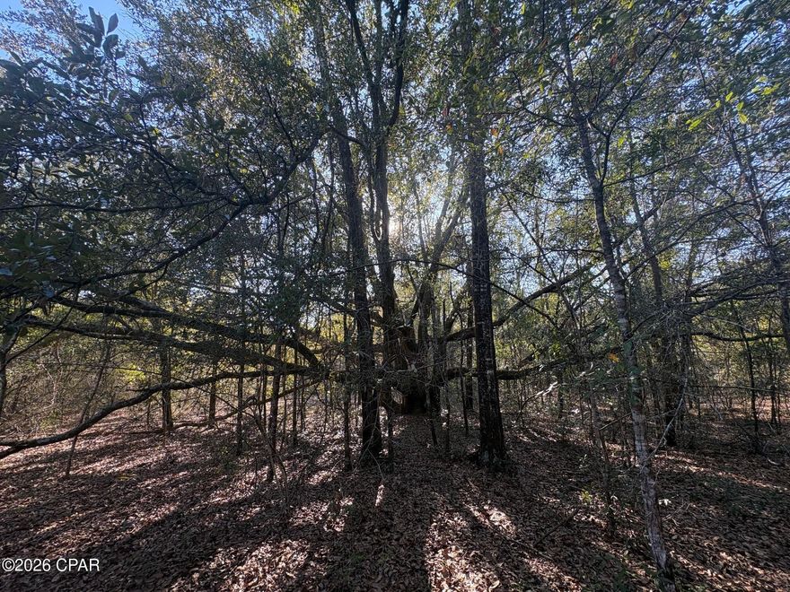 1.64 Acre lot just off the highway. no other homes on this county maintained road that only has a few lots and deadends so limited traffic. Wooded with some big oak trees. West Fl Electric is the electrical provider and should be able to get the power run to the property at no charge but must verify with them. Deer all over this property.
Moble Homes welcome