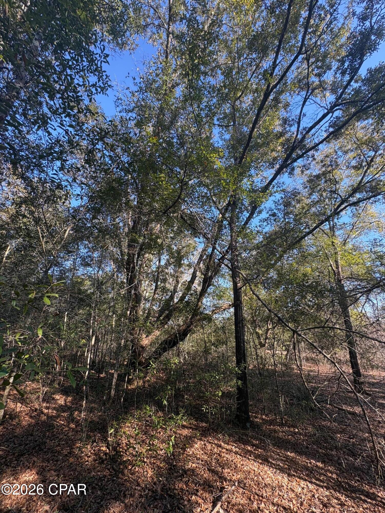 Compass Lake Hills Unit 2 - Land