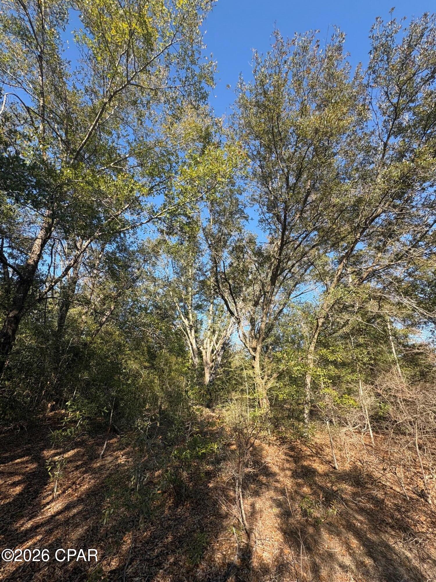 Compass Lake Hills Unit 2 - Land