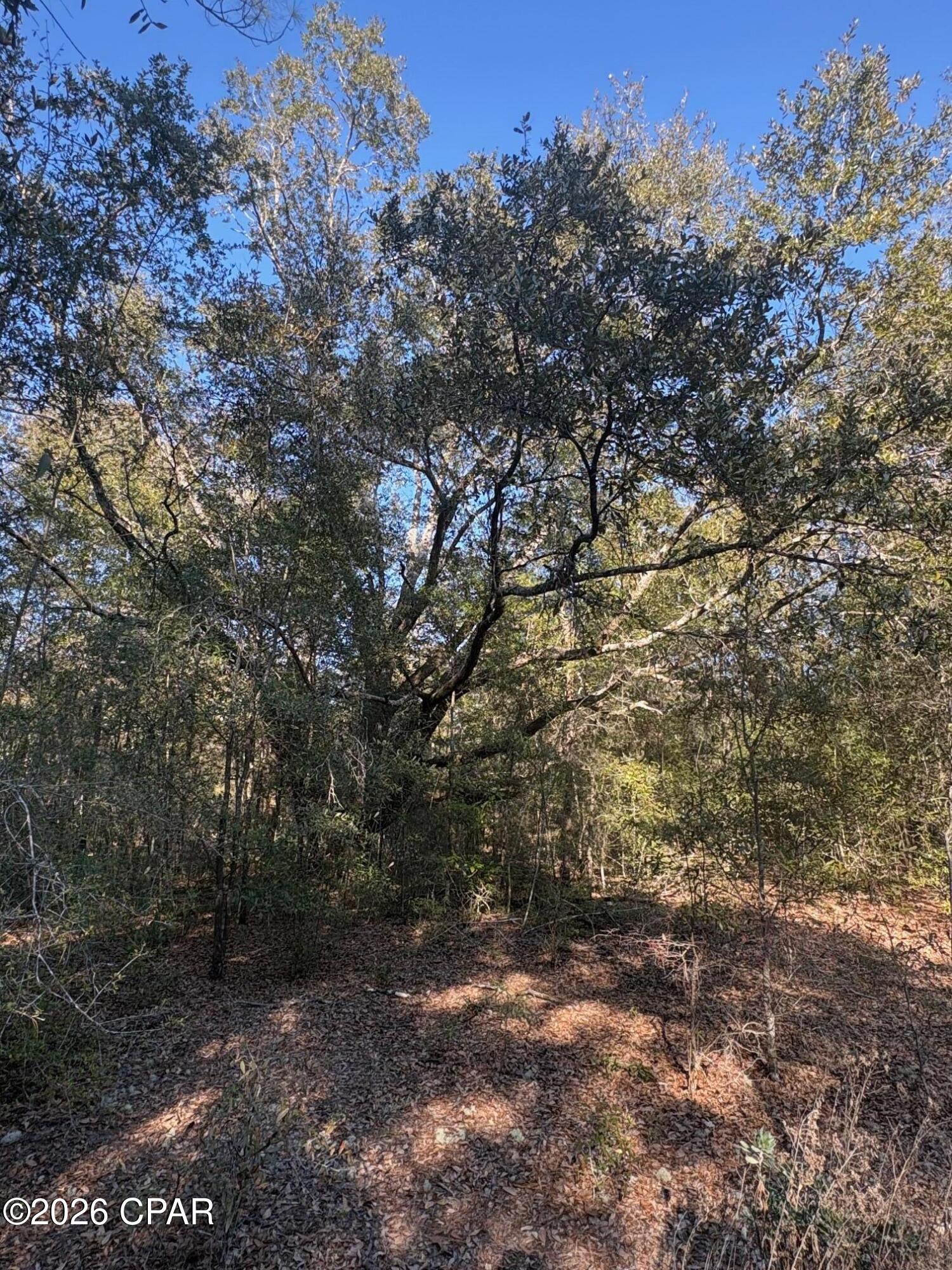 Compass Lake Hills Unit 2 - Land