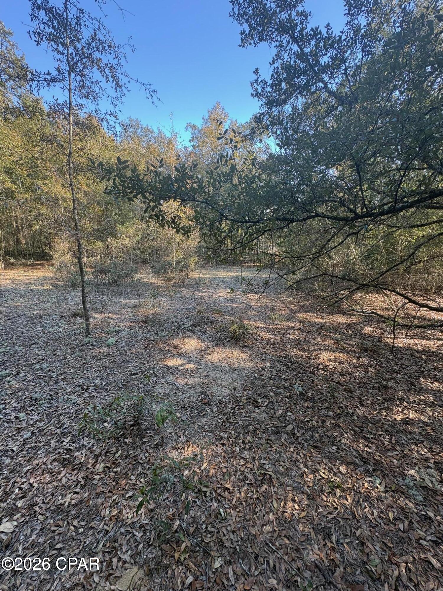 Compass Lake Hills Unit 2 - Land