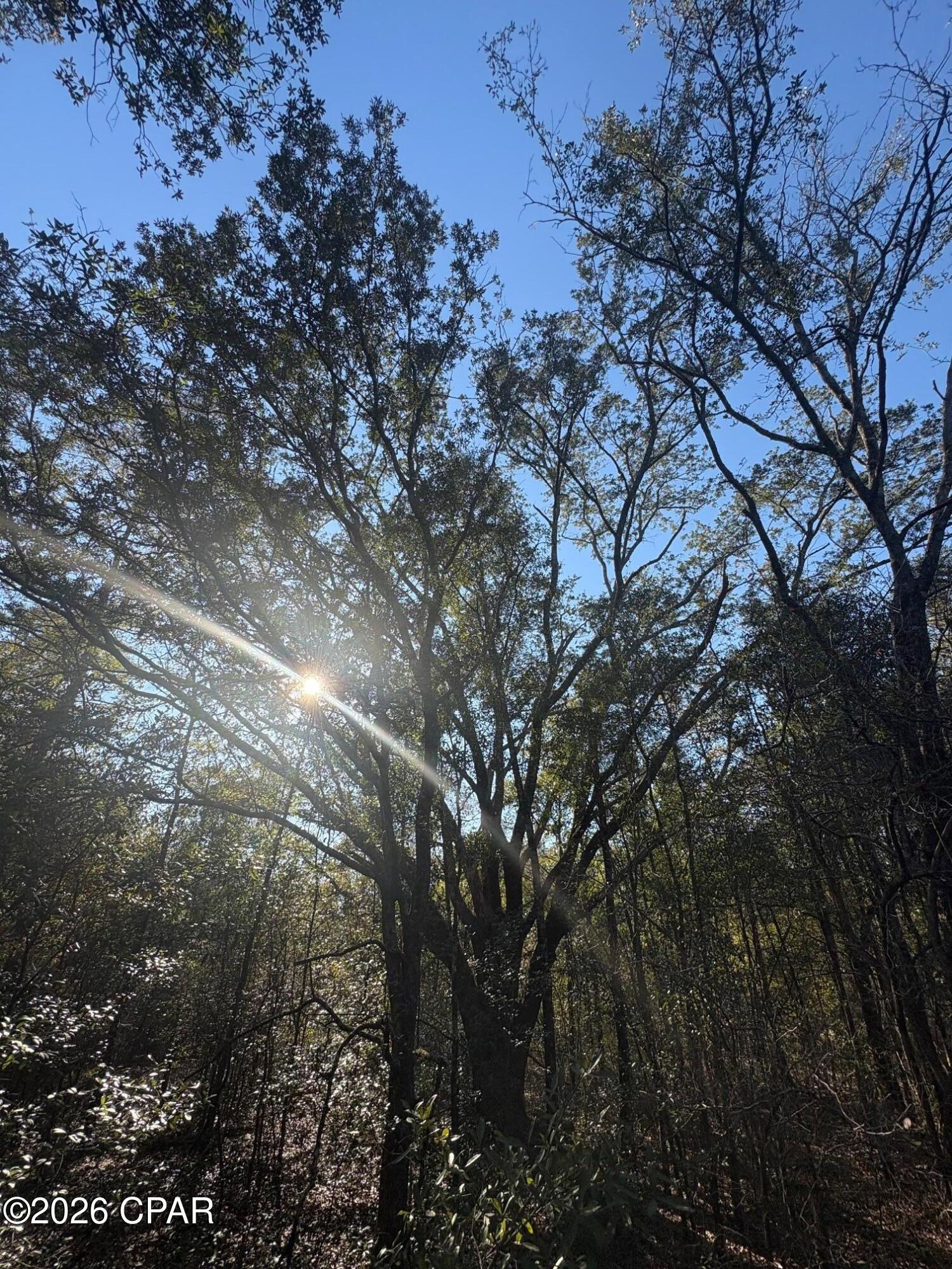 Compass Lake Hills Unit 2 - Land