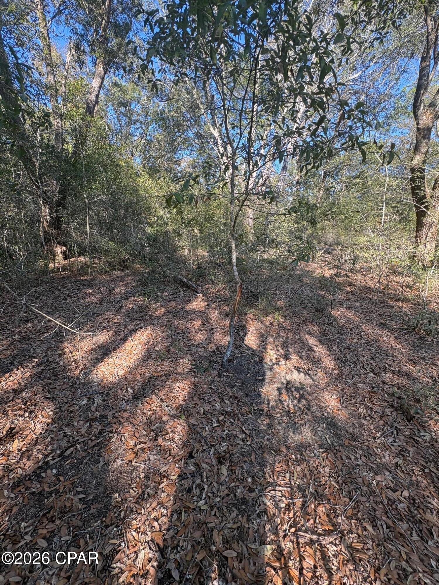 Compass Lake Hills Unit 2 - Land