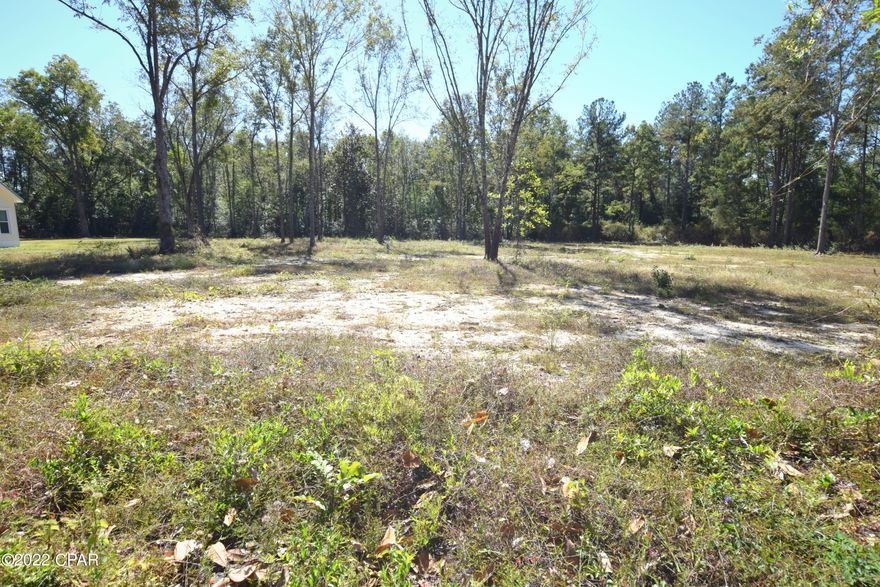 Cleared and ready for your dream home! This lot is situated off a paved road in the heart of Chipley and is conveniently located close to schools, shopping and restaurants.