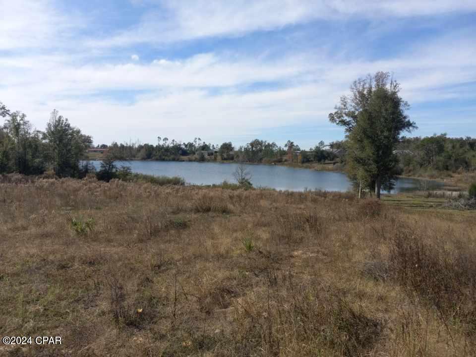 White Pond Plantation - Land