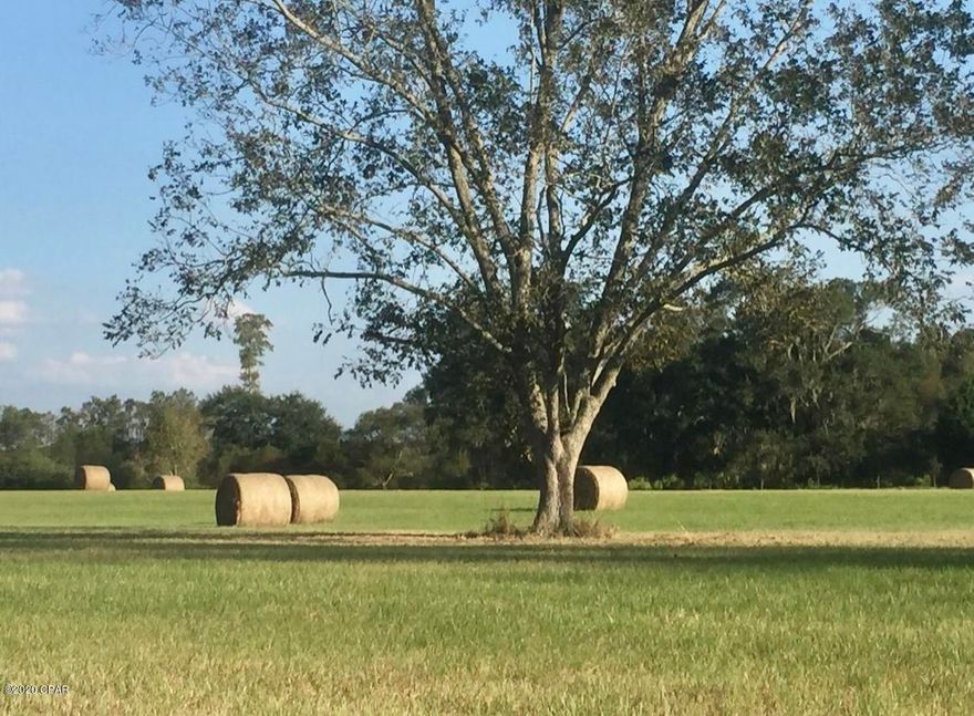 A mix of beautiful farmland and natural wooded property available. This property could be a great home site, great for hunting or property to farm. Part of the property has been previously used as a large hay field, this portion is immediately cultivatable. The back portion of the property is mostly conservation, making it very attractive for wildlife. It is located just on the Alabama/Florida state line and is in close proximity to Hwy 231, Dothan, AL, and Marianna. It is very secluded and peaceful surrounded by beautiful farmland.