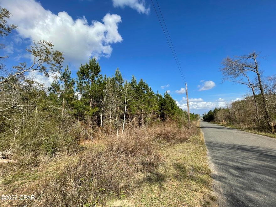 40 Acre tract located in a secluded area of East Washington County.  Accessible from paved frontage running along the entire South boundary. This property has been planted in pines approximately  6 years ago.  Excellent recreational use or a beautiful future private homesite.  Call to schedule an appointment.