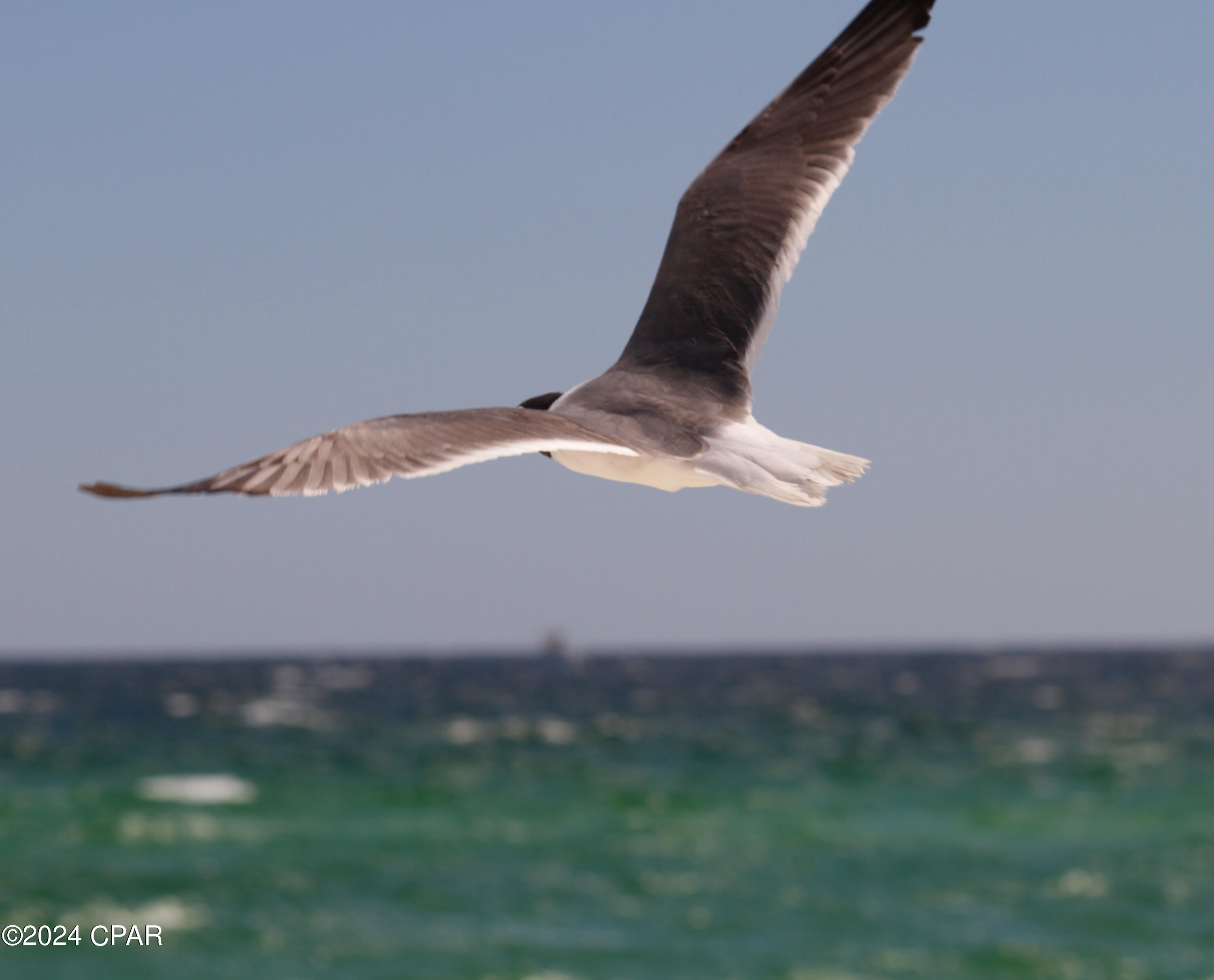 Bayside - Residential