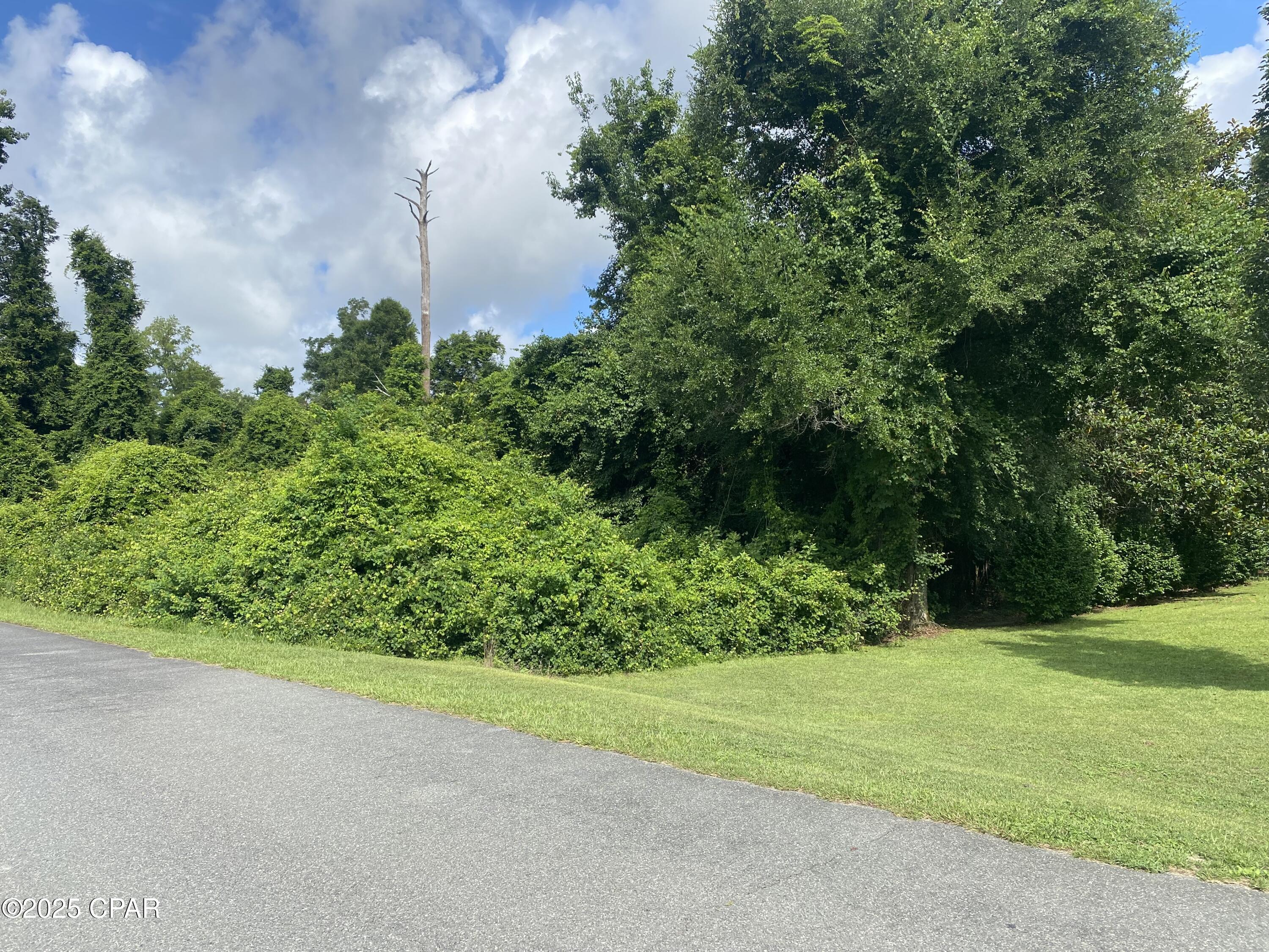 Indian Springs Golf Course - Land