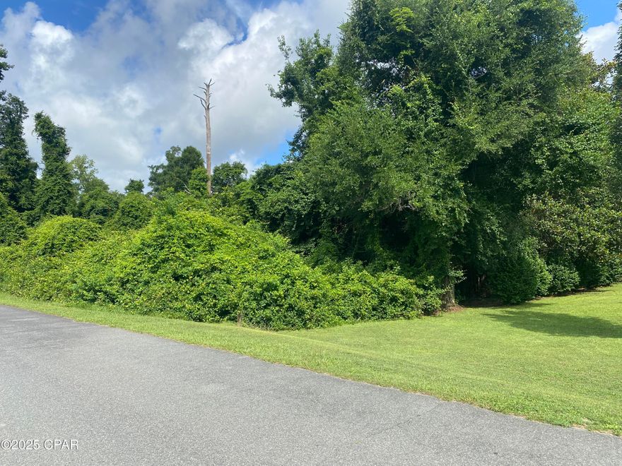 Perfect homesite or future investment!  Beautiful .75 +/- acre lot  (#16) in the family-friendly Indian Springs community, near the eastern bank of Merritt's Mill Pond. Home to Magnolia Oaks Golf and Country Club, this lot is located on hole #11 and offers an ideal setting to build your dream home.  Enjoy beautiful views as you sip your morning coffee!   New construction requires a minimum of 1,600 sq. ft. for single-level and 2,000 sq. ft. for multi-story homes. Enjoy paved road access, with public water and sewer installations coming soon (see supporting documents). Whether you're ready to build or invest, this property suits both. Contact us today for more details! (Note: Buyer should verify utilities, property restrictions, and listing details.) Multiple lots for sale.  See pictures and map.
Key features:
*Paved road access
*Beautiful golf course views
*Upgraded public water and sewer coming soon - no well or septic needed
*Quiet and peaceful neighborhood
*Close proximity to Merritt's Mill Pond (220 acre spring-fed lake with crystal clear waters)