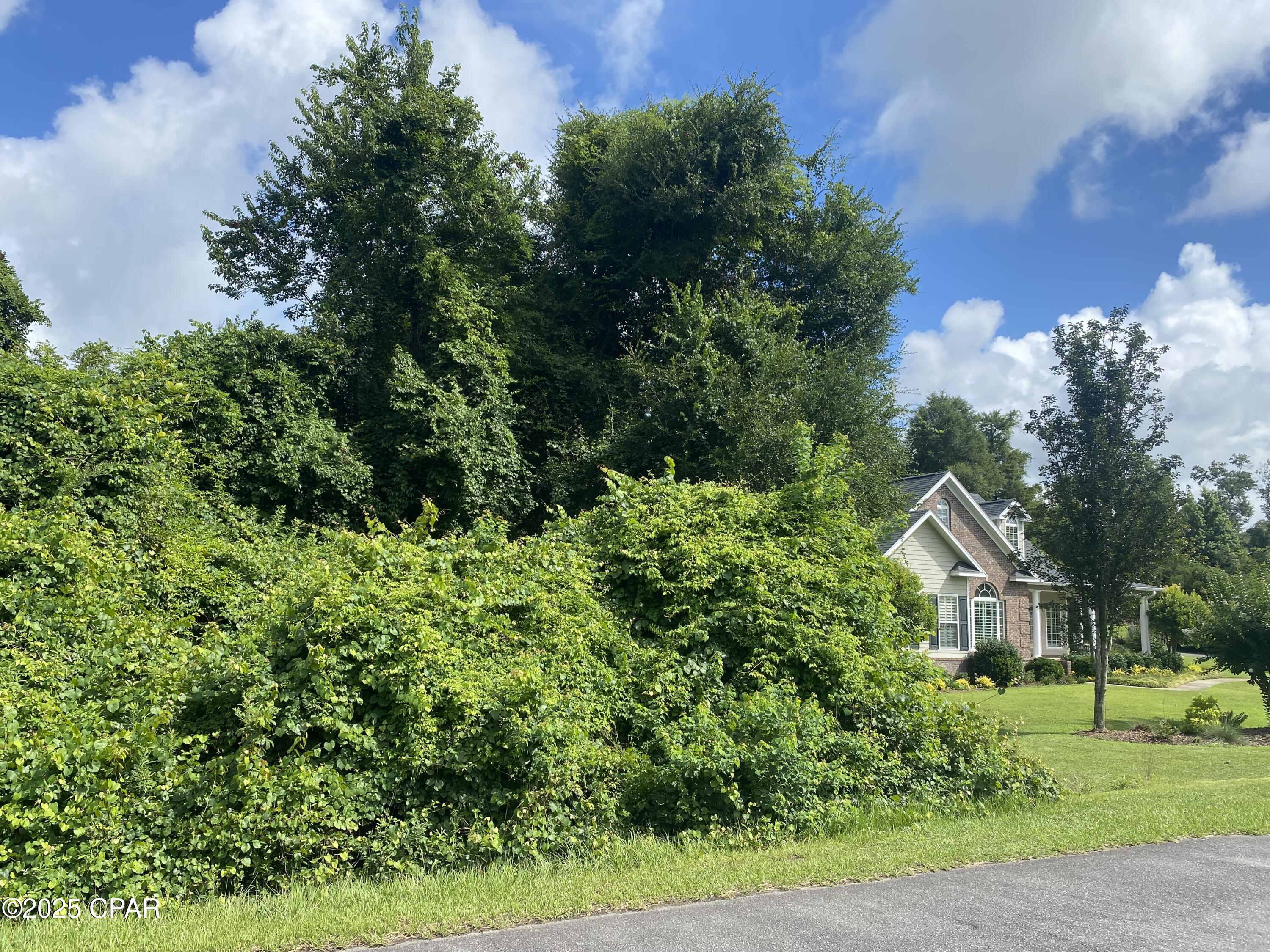 Indian Springs Golf Course - Land