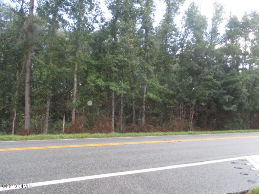 $24,000. A vacant parcel with 723.06' frontage on paved SR 71 is just 100 yds from the Chipola River. Tract has a couple of old abandoned buildings on it that were given no value consideration. Blon Carter Road runs through the middle of the property, with a pond on each side of the road. Owner reports that a very small piece of the property lying closest to the river is in the flood zone, so one would have to take this into account if a home was ever built on the land. Power is available, and a country store is directly across the road from the land. Owner had a survey done in '06 and will provide a copy upon request. (Survey reveals 9.12 acres, while the Property Appraiser shows 9.13.) Ideal for hunting camp or private residence, this can be yours for just $24,000!