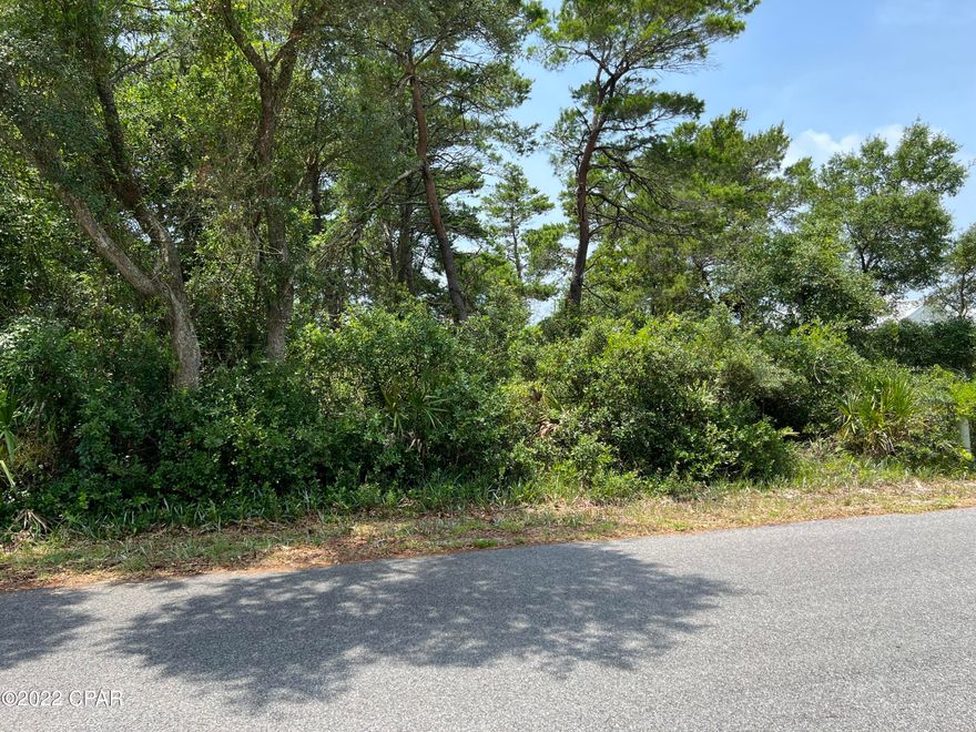 Beautiful wooded beach lot for your dream home.