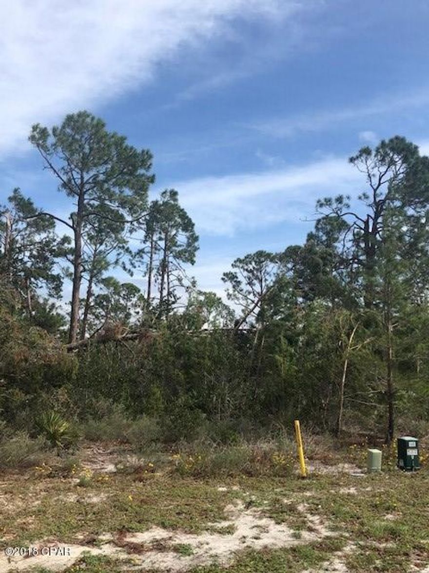 A great wooded lot in a very desirable neighborhood.  Offering beautiful architectural design homes , security entrance, walking trails throughout this classy location.  Numerous ponds are featured along with a playground and community pool.  Martinique is located close to St. Andrews State Park. many great restaurants and lots of entertainment.