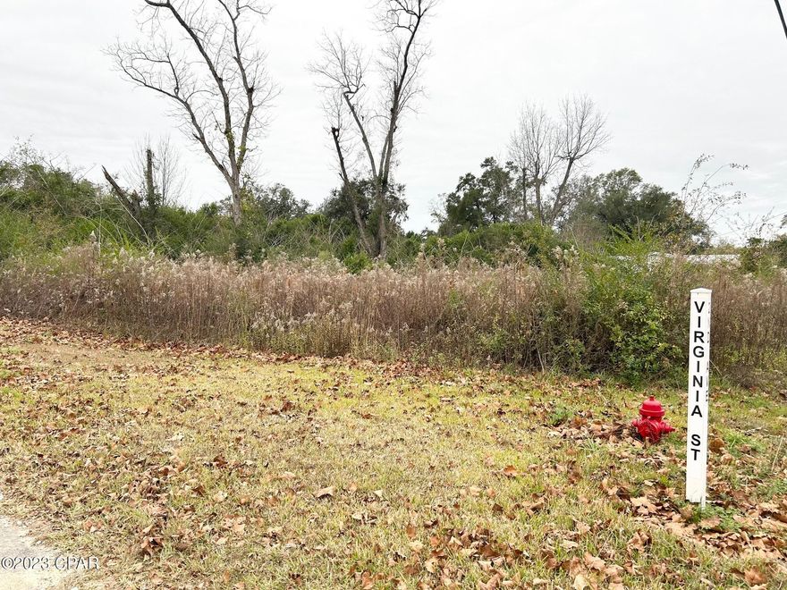 CURRENTLY UNDER CONTRACT, SELLER WILL CONSIDER BACKUP OFFERS...Welcome to 2457 2nd Avenue Alford, Florida! This vacant half acre corner lot is tucked away on a quiet paved road just two blocks from U.S. Highway 231, about 4.5 miles to I-10. A county water meter was installed on the property, however, it will need septic. There is a power pole/transformer on the property. Mobile homes are allowed, check with Jackson County for restrictions. This nice quaint lot in the small town of Alford, Florida  is ready for you to place your dream home on.