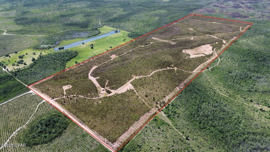 +/-213 acres of recreational hunting land a few miles off of Highway 231 and minutes to the beaches of Panama City. Property has an existing road system, 7 food plots, and pole barn.