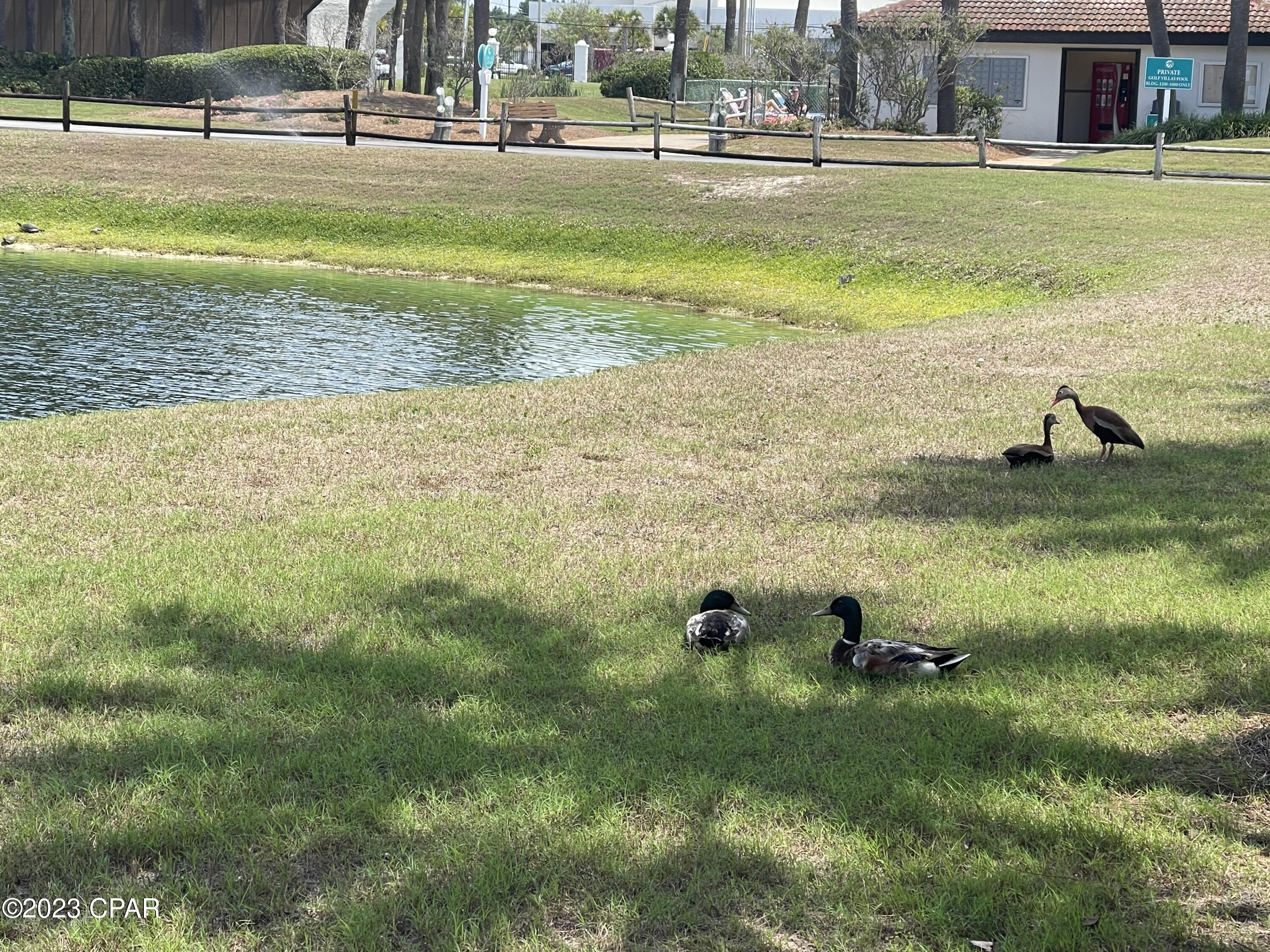 Edgewater Golf Villas 4B - Residential