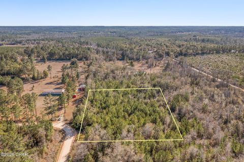 XXX Schmidt Lane Chipley FL 32428